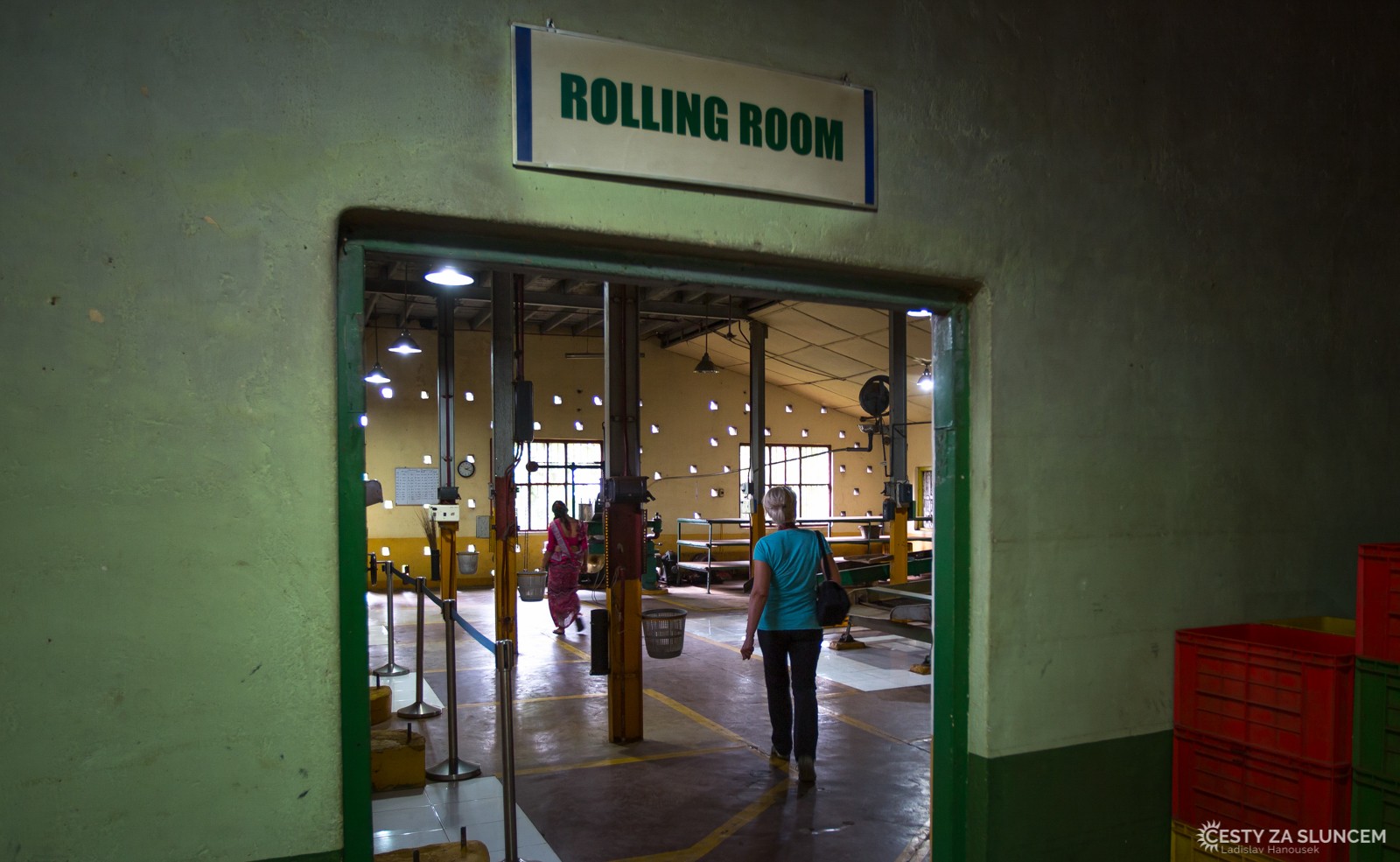 Po částečném usušení se lístky čaje zpracovávají v tzv. Rolling Rooms. - Ladislav Hanousek, Srí Lanka