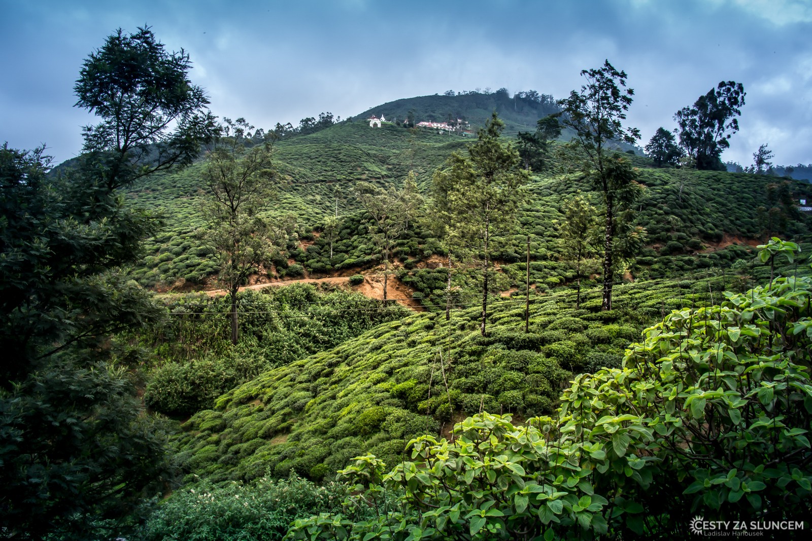 Cesta do národního parku Horton Plains - Ladislav Hanousek, Srí Lanka