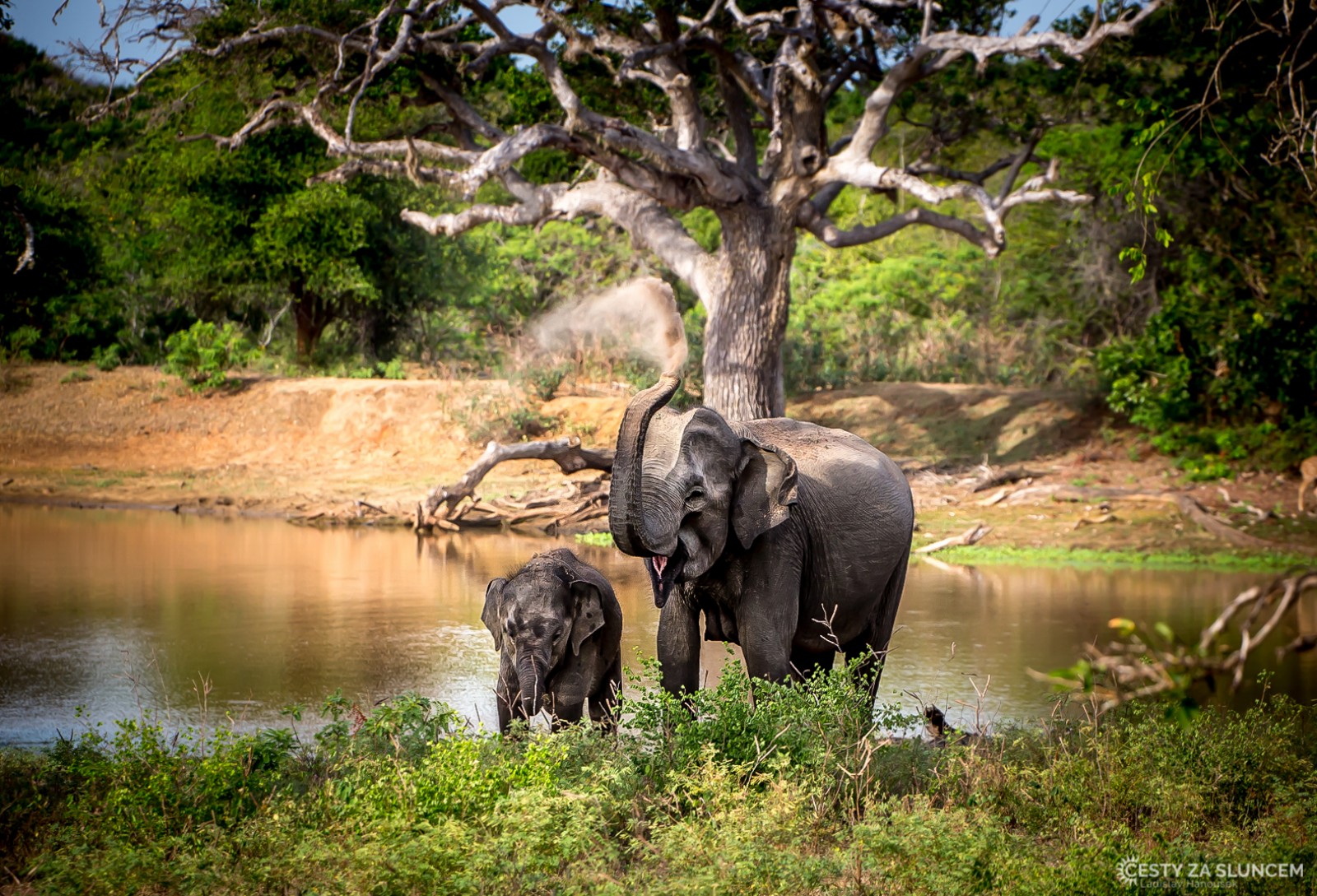 Národní park Yala. - Ladislav Hanousek, Srí Lanka