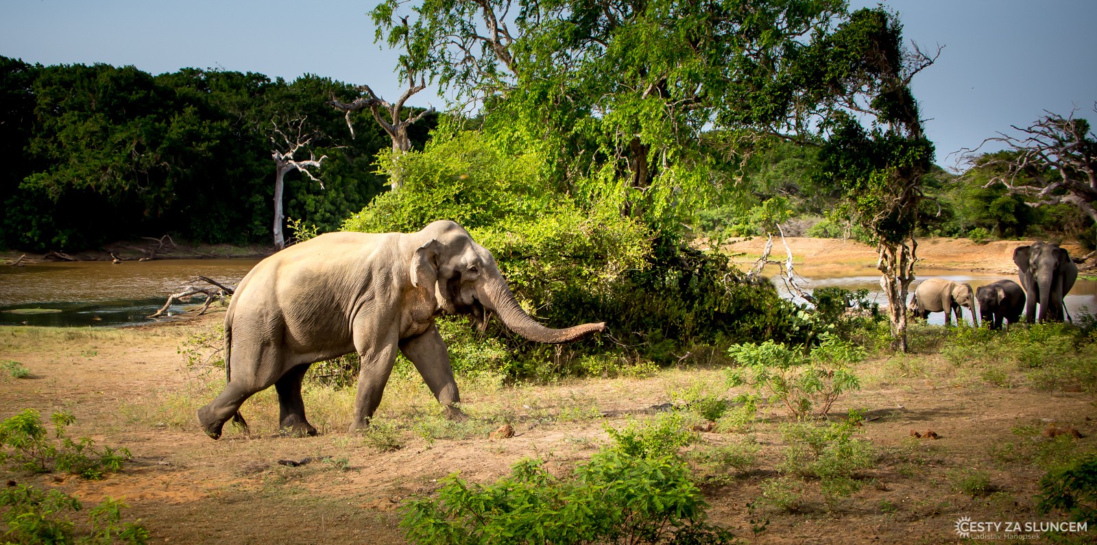 Národní park Yala. - Ladislav Hanousek, Srí Lanka