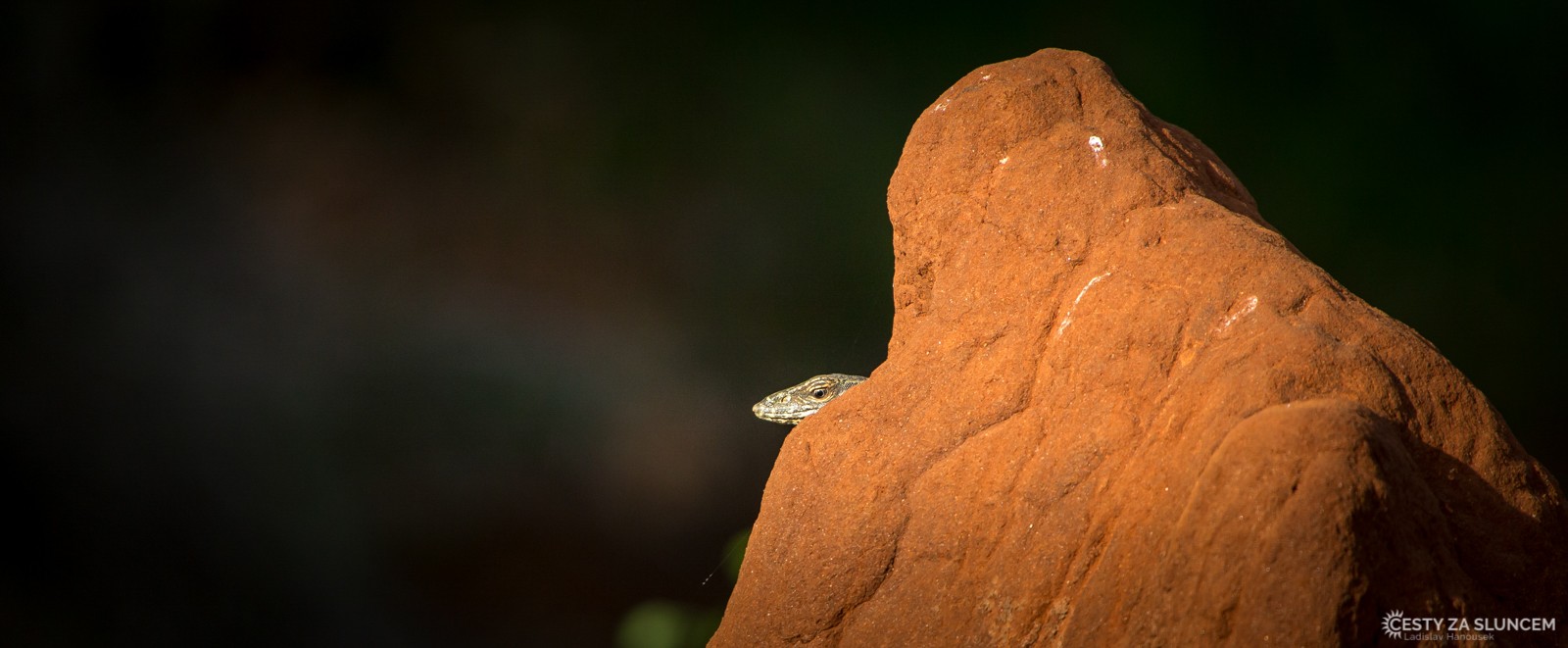 Národní park Yala - Ladislav Hanousek, Srí Lanka