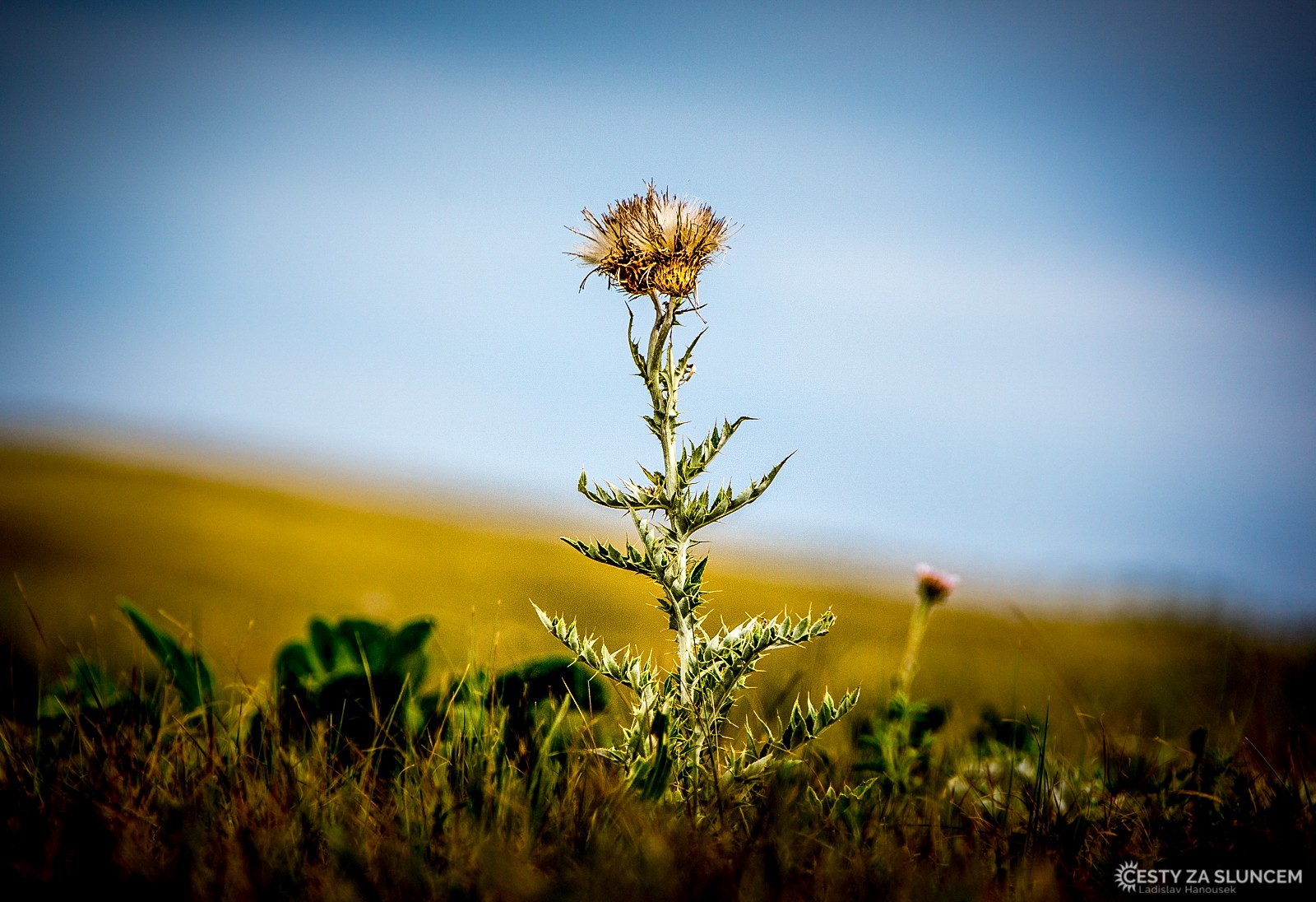 Wind Cave NP - Ladislav Hanousek, Wind Cave NP