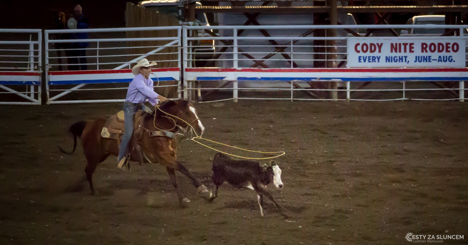 První disciplína - chytání mladých býků do lasa na čas. - Ladislav Hanousek, Cody