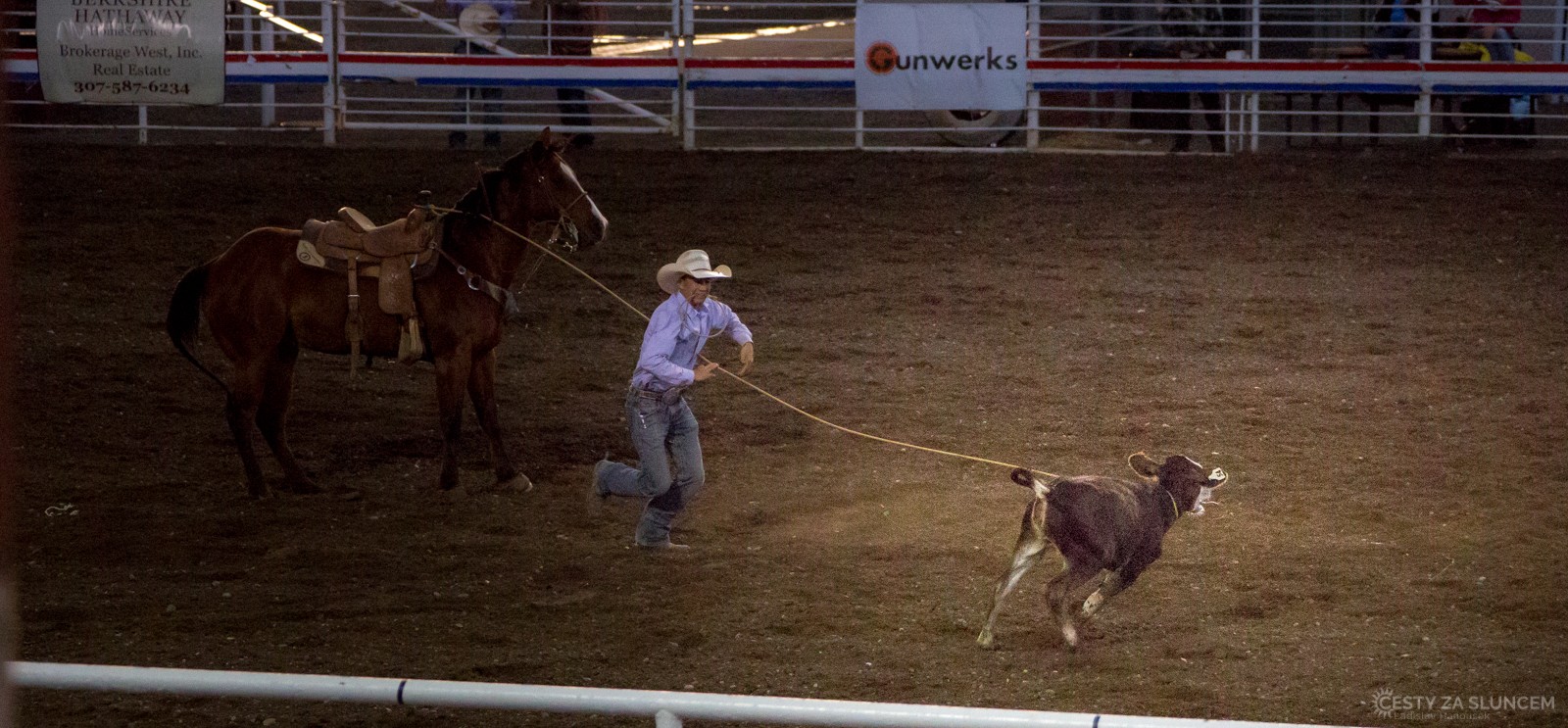 První disciplína - chytání mladých býků do lasa na čas. - Ladislav Hanousek, Cody