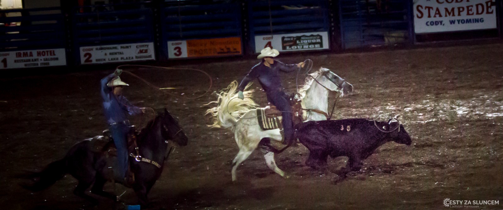 Večerní rodeo - třetí disciplína: Chytání mladých býků dvěma kovboji - Ladislav Hanousek, Cody