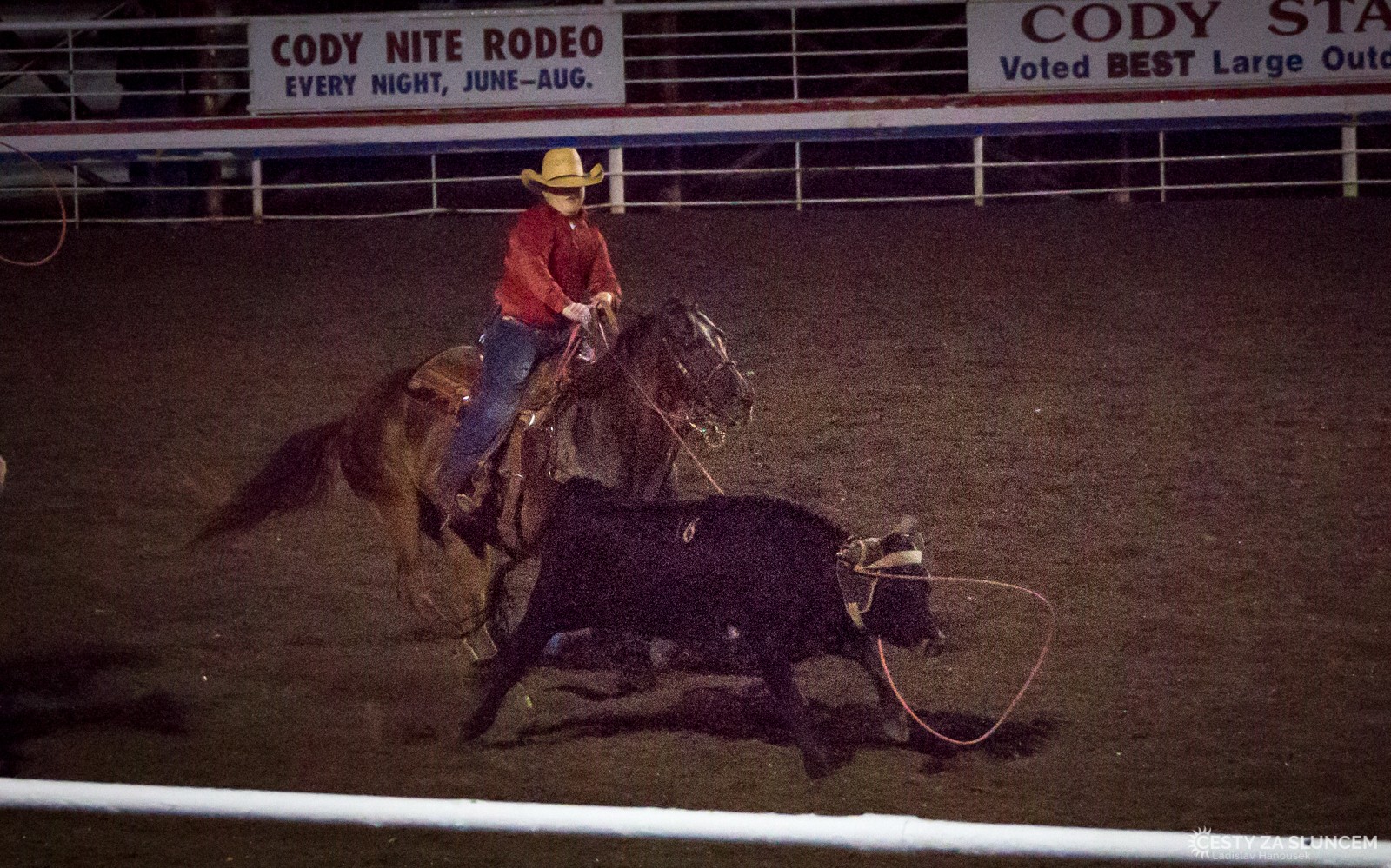 První disciplína - chytání mladých býků do lasa na čas. - Ladislav Hanousek, Cody