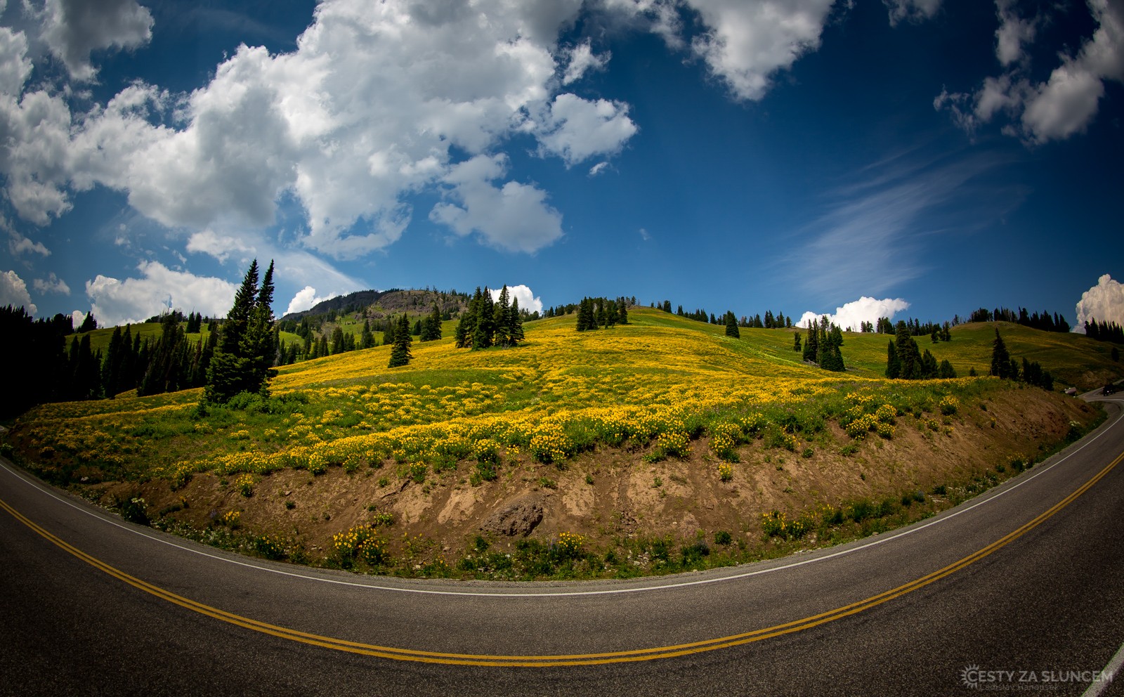 Dunraven Pass - Ladislav Hanousek, Yellowstone NP