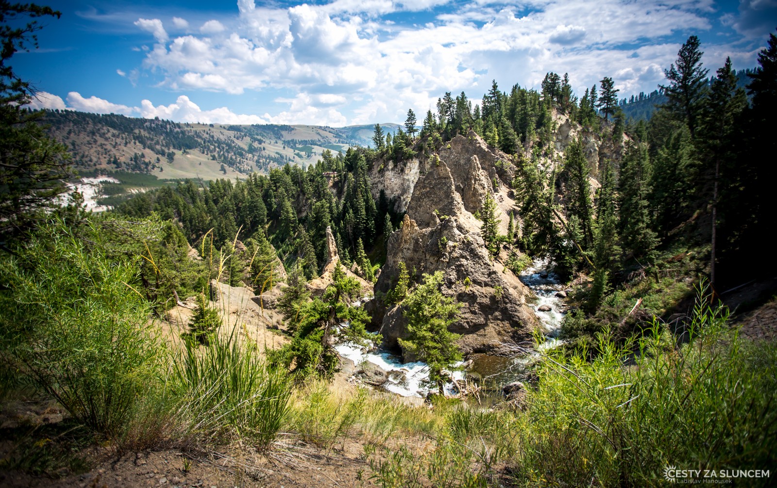 Dunraven Pass - Ladislav Hanousek, Yellowstone NP