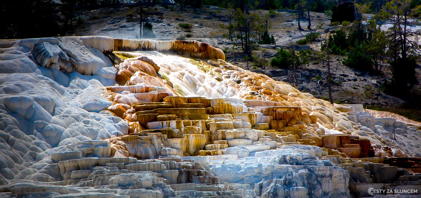 Mammoth Hot Springs - Lower Terraces - Ladislav Hanousek, Yellowstone NP