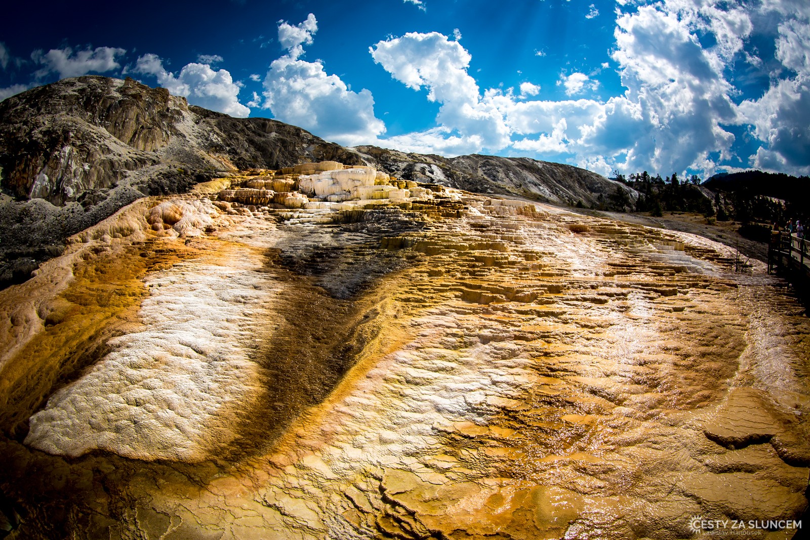 Mammoth Hot Springs - Upper Terraces - Ladislav Hanousek, Yellowstone NP