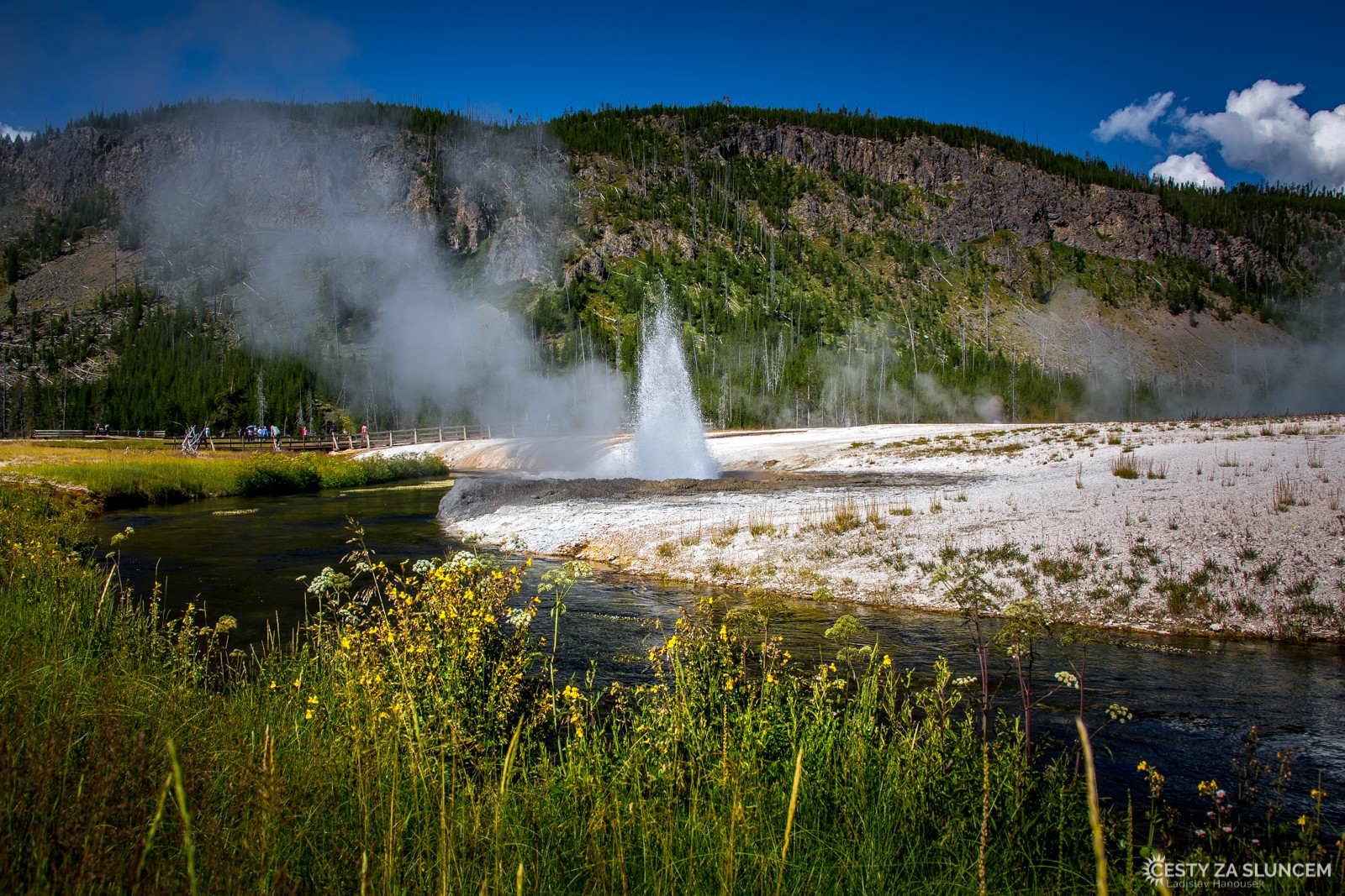 Cliff Geyser v oblasti Black Sand Basin není největším gejzírem, ale jeho erupce jsou téměř v několikaminutových intervalech. - Ladislav Hanousek, Yellowstone NP