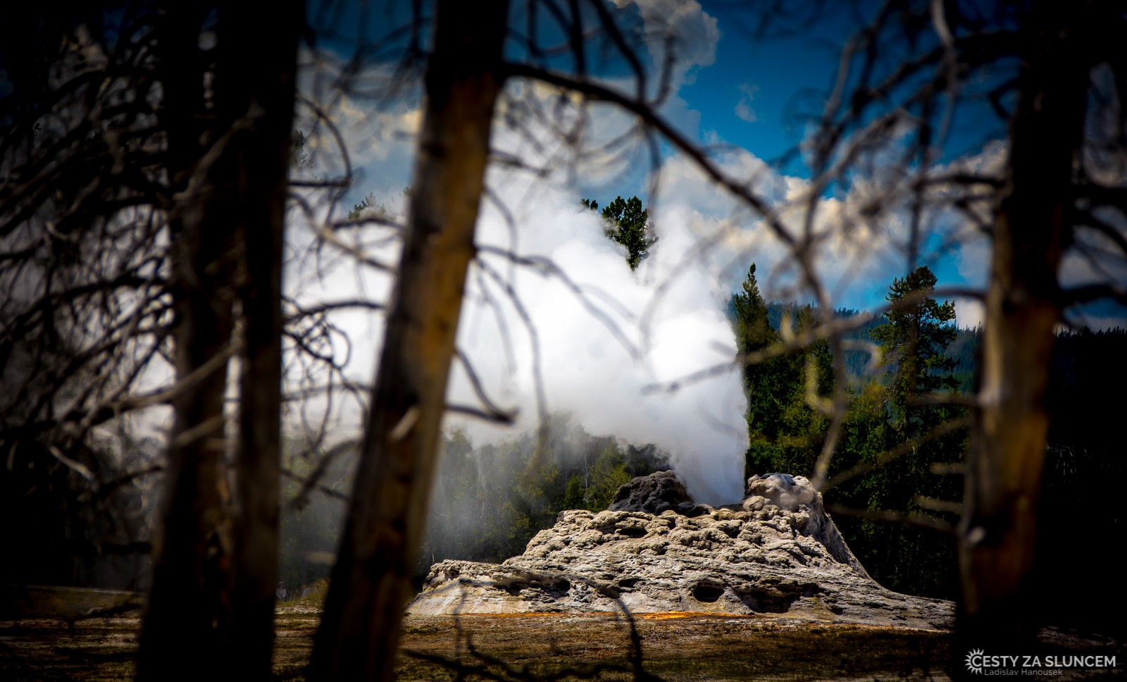 Castle Geyser - Ladislav Hanousek, Yellowstone NP