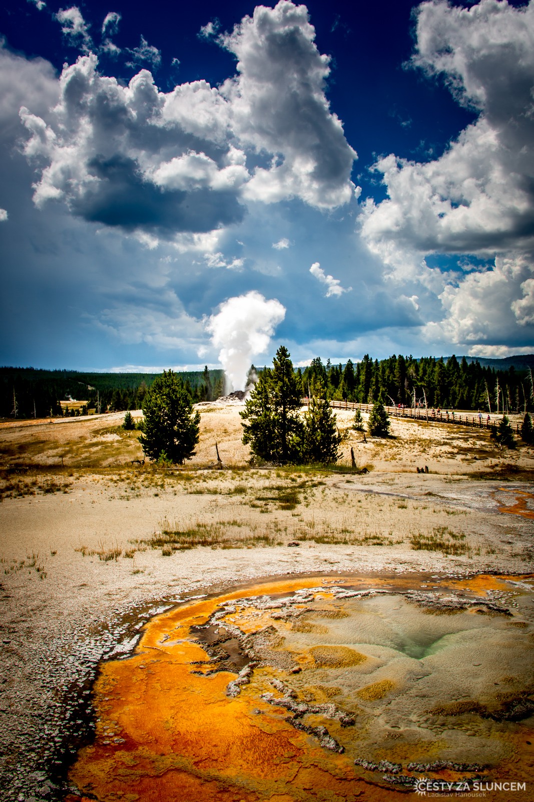 Spasmodic Geyser v oblasti Old Feithful - Ladislav Hanousek, Yellowstone NP