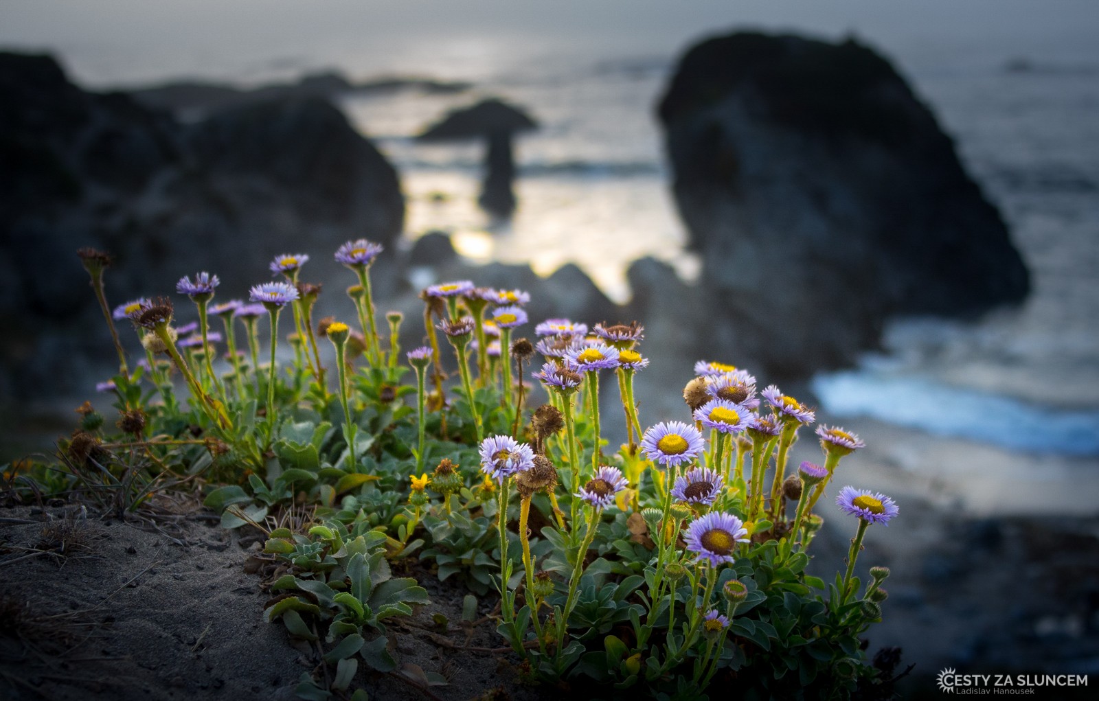 Večer na Skleněné pláži ve Fort Brag - Ladislav Hanousek, Oregon