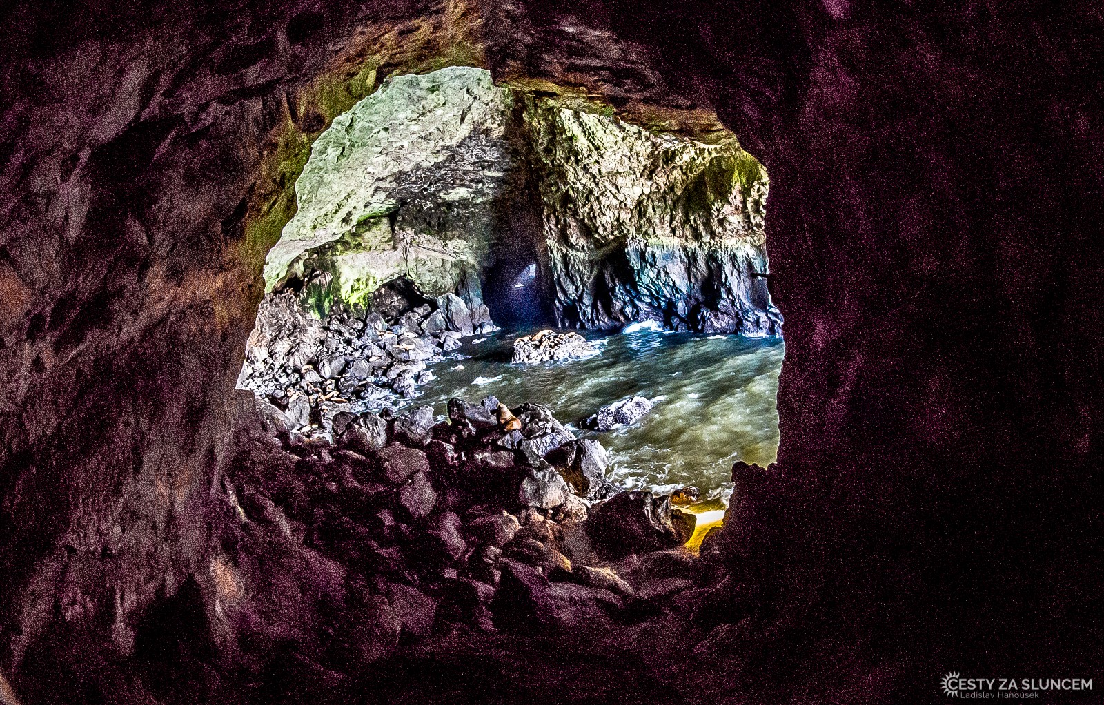 Jeskyně Sea Lions Caves. Neuvěřitelná věc na oregonském pobřeží. - Ladislav Hanousek, Oregon