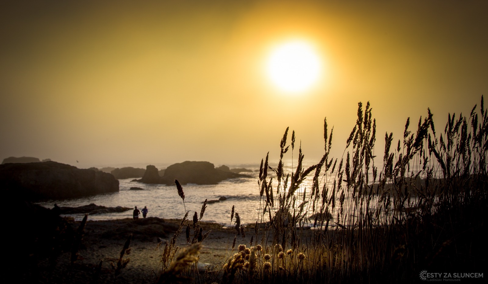 Pacifické pobřeží u Fort Bragg. - Ladislav Hanousek, Oregon
