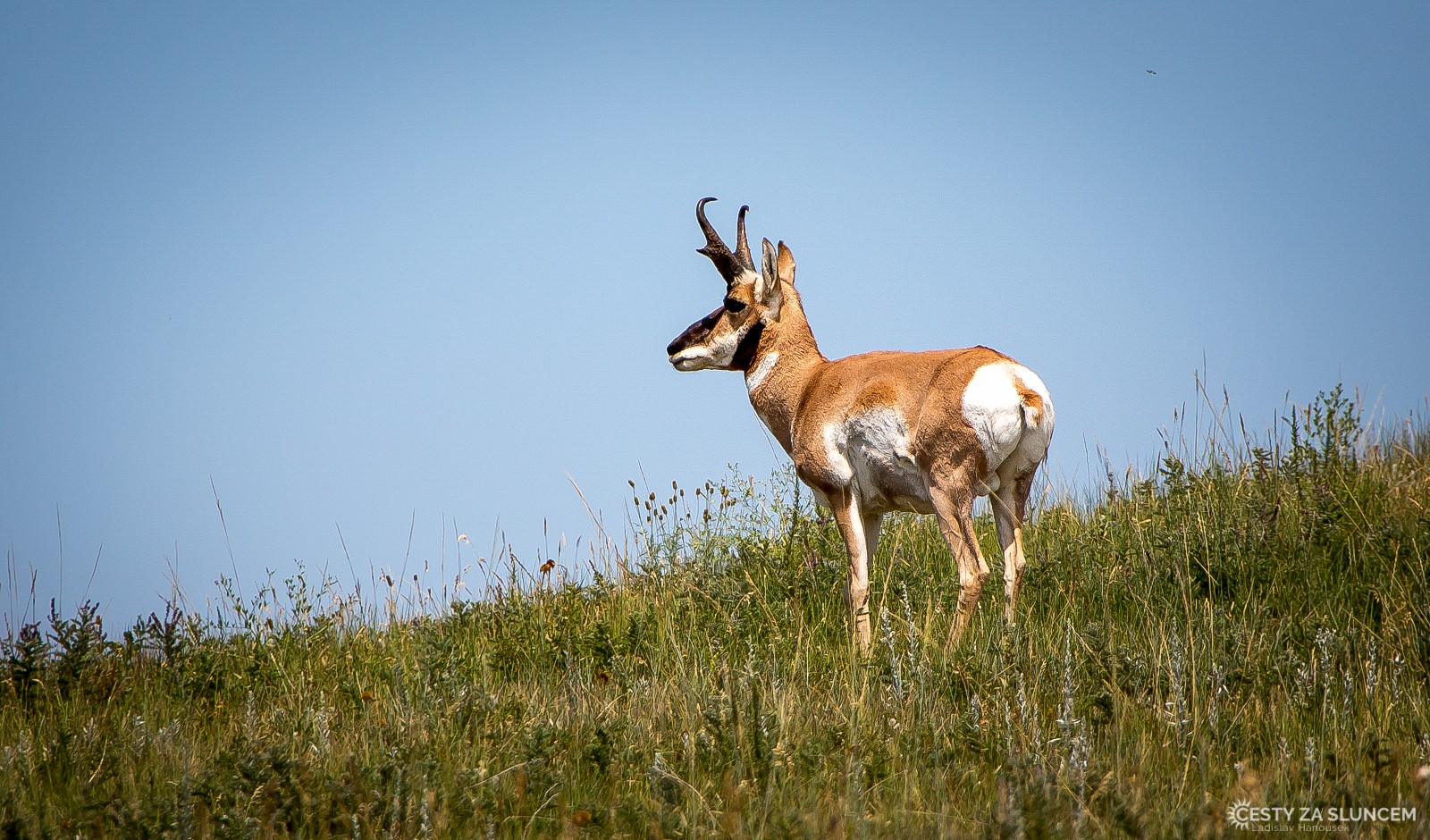 Wind Cave NP - Ladislav Hanousek, Wind Cave NP
