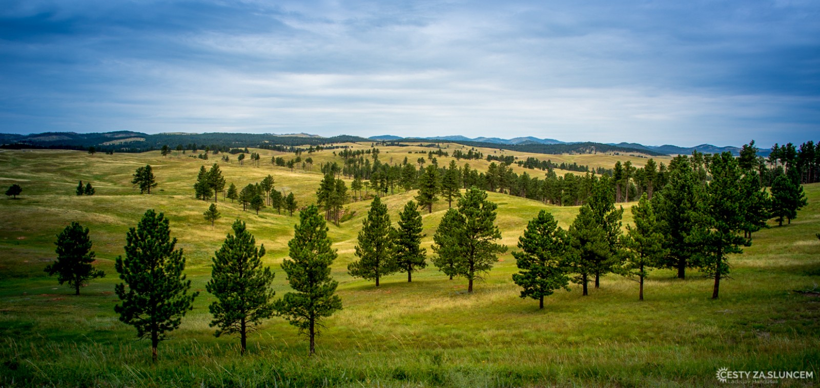 Wind Cave NP. Park by nebyl tak neobyčejný nebýt tisíců psounů prériových, kteří zde mají nory. Ze silnice jich jsou z každého místa vidět desítky. - Ladislav Hanousek, Wind Cave NP
