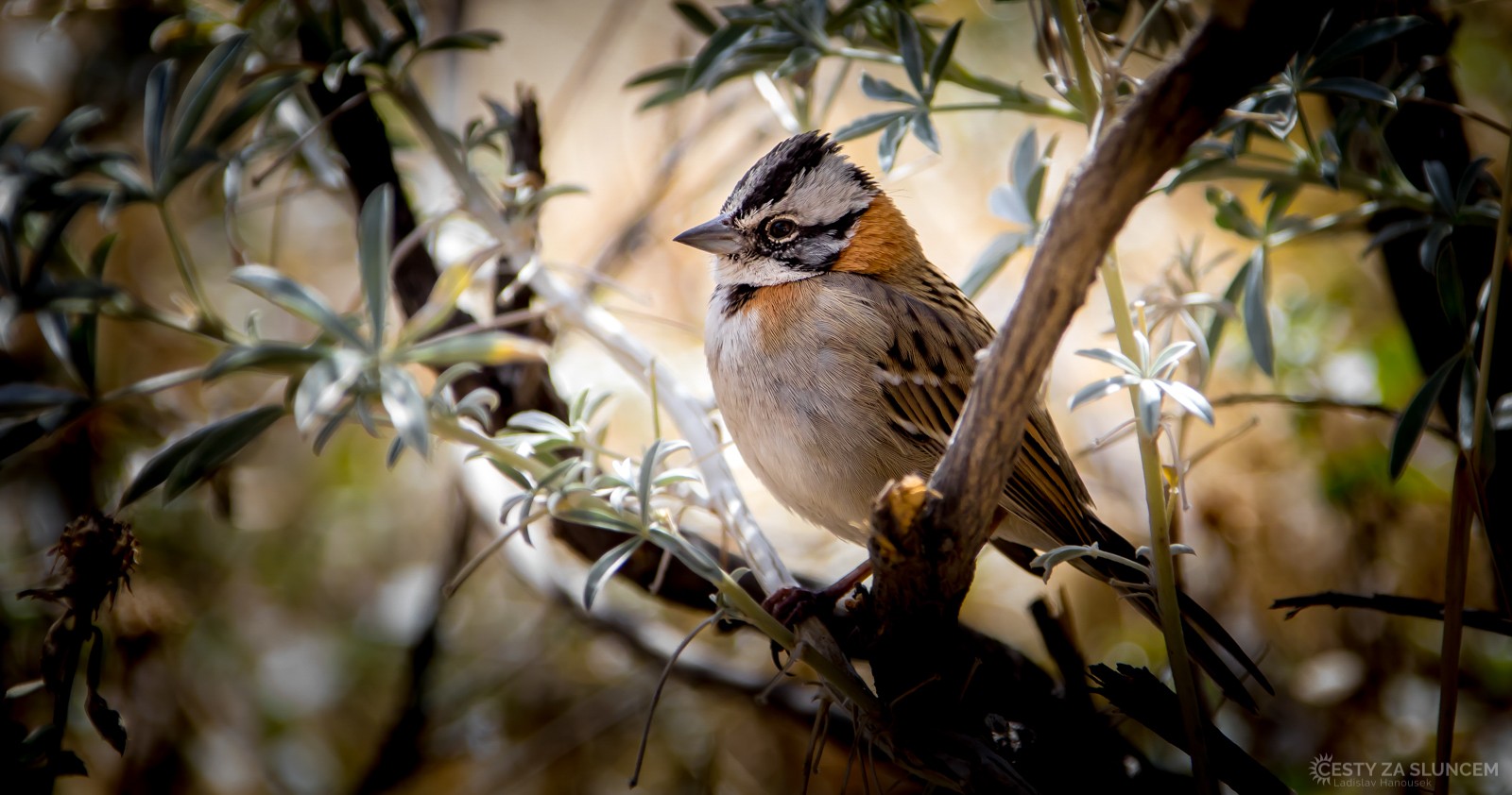 A ještě jednou... - Ladislav Hanousek, Peru