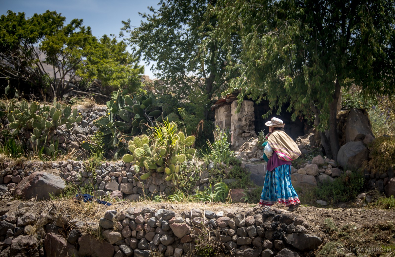 Z Cañon del Colca vedla naše cesta dále na jih k Tichému oceánu a do města Nazca - Ladislav Hanousek, Peru