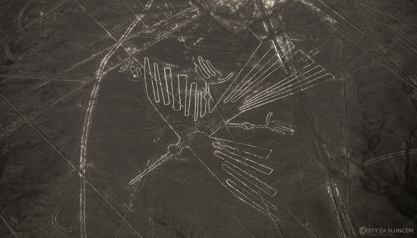 Geoglyfy na planině Nazca - kondor - Ladislav Hanousek, Peru