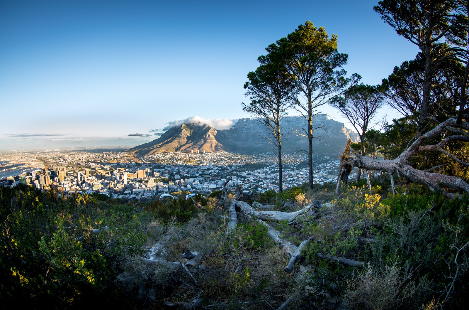 A naposledy Kapské Město - s trochou podzimních barev... - Ladislav Hanousek, Jihoafrická republika 2018
