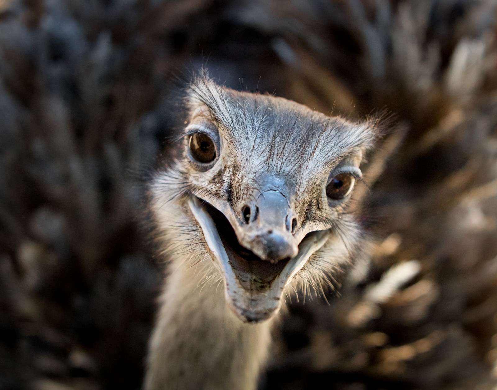Tak někdy zase v Jihoafrické republice na shledanou.. - Ladislav Hanousek, Jihoafrická republika 2018