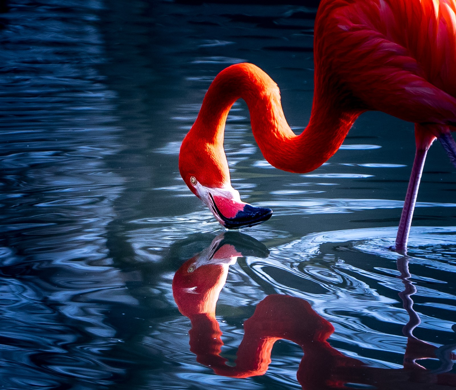 Ještě něco na závěr - Ladislav Hanousek, Jihoafrická republika 2018