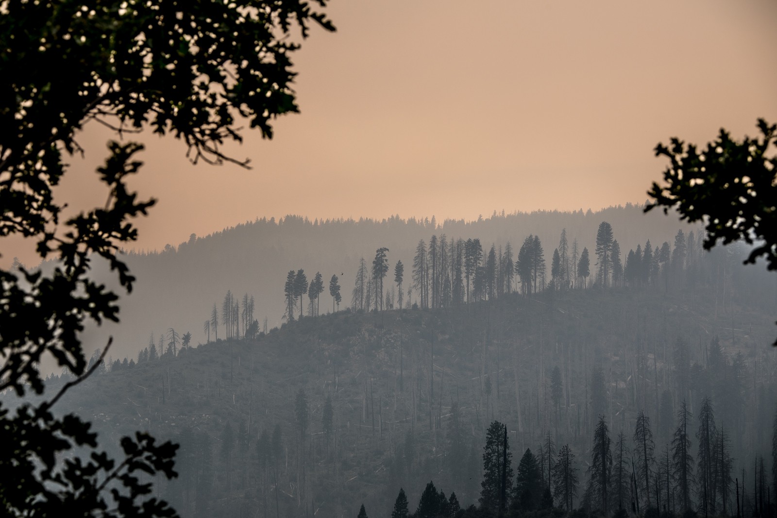 Také  údolí podél cesty k Tioga Pass bylo v červenci zahaleno kouřem. Naštěstí se požár nerozšířil přes průsmyk k Mono Lake... - Ladislav Hanousek, Yosemite NP