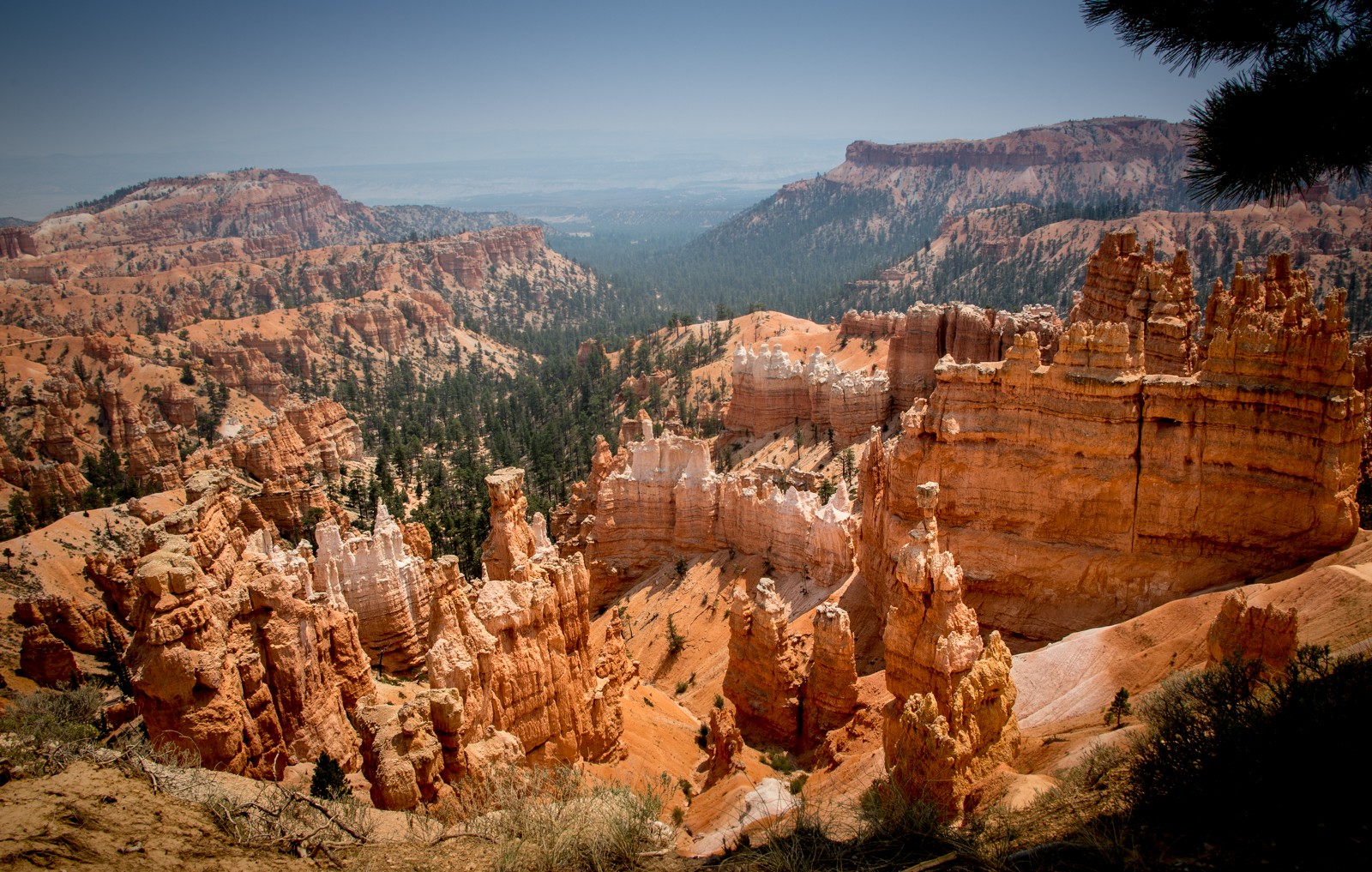 Bryce Point - Ladislav Hanousek, Bryce Canyon