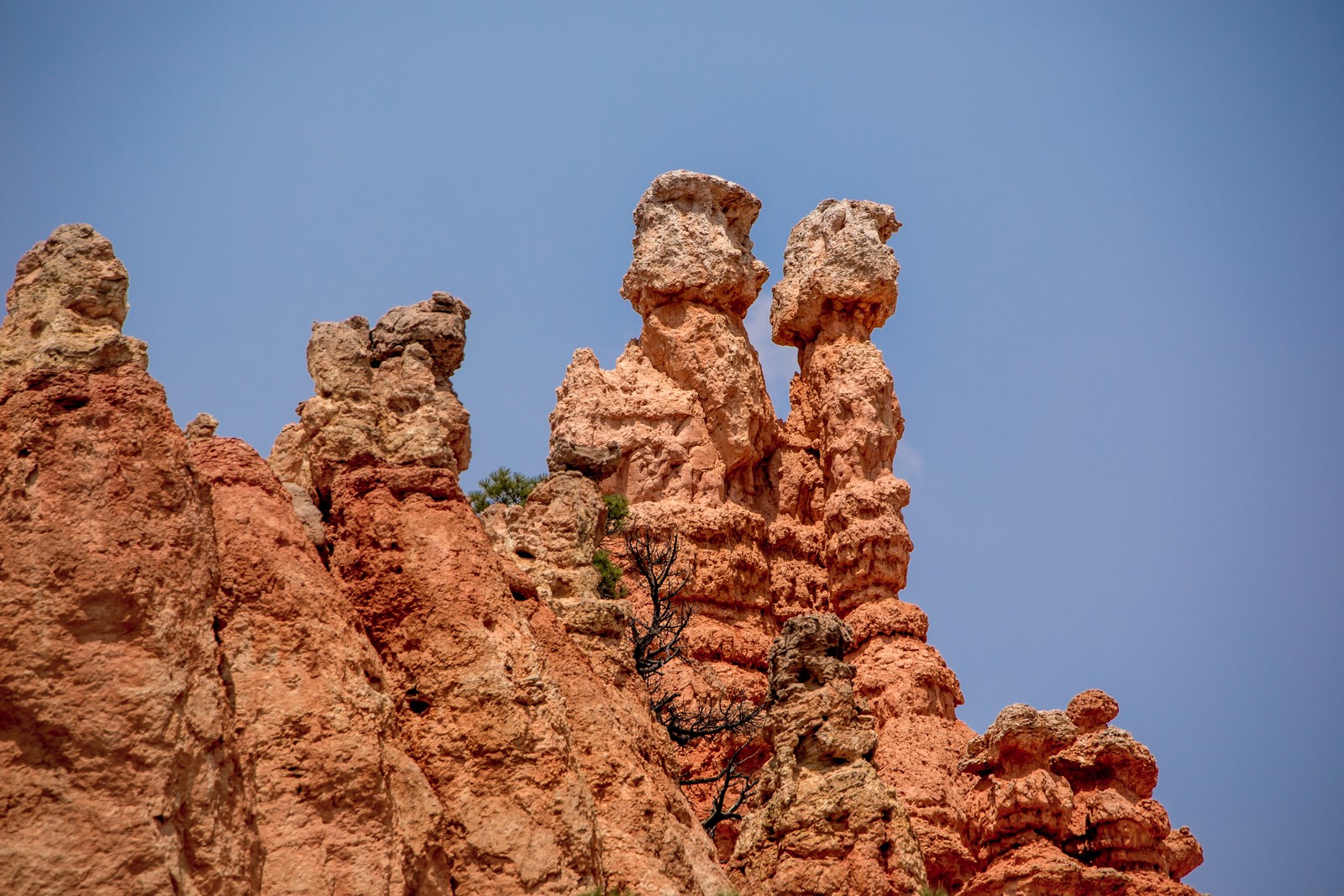 Navajo Loop Trail - Ladislav Hanousek, Bryce Canyon
