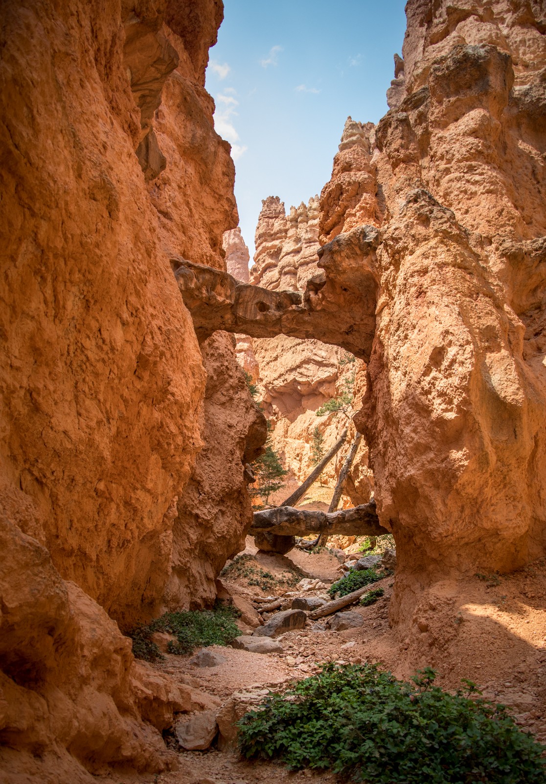 Navajo Loop Trail - Ladislav Hanousek, Bryce Canyon