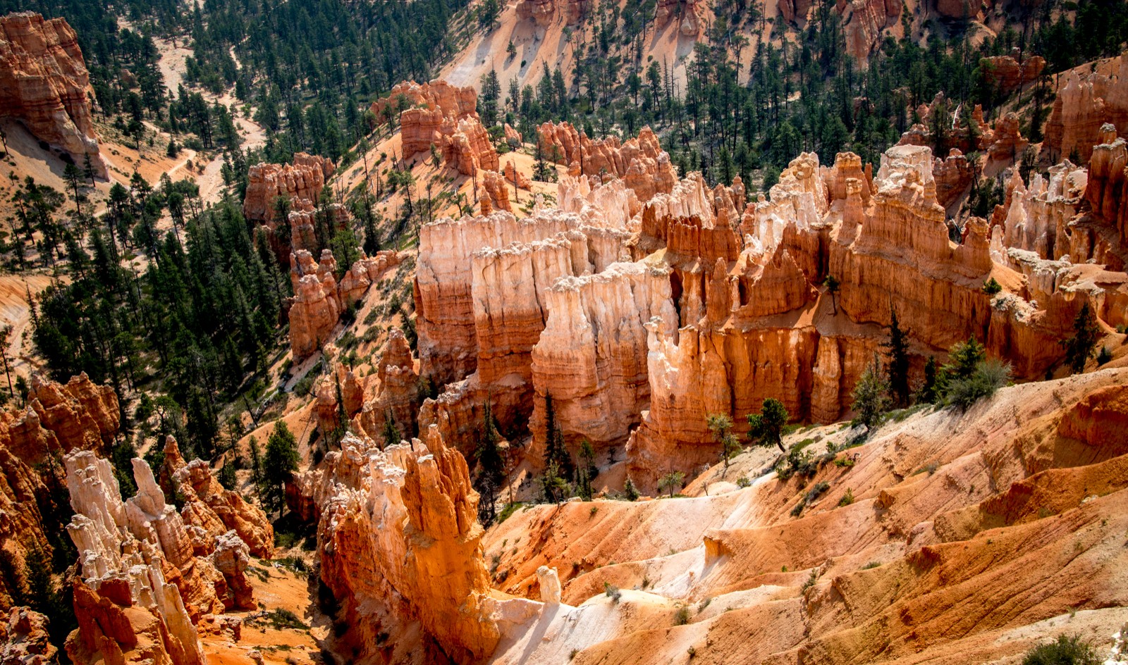 Inspiration Point - Ladislav Hanousek, Bryce Canyon
