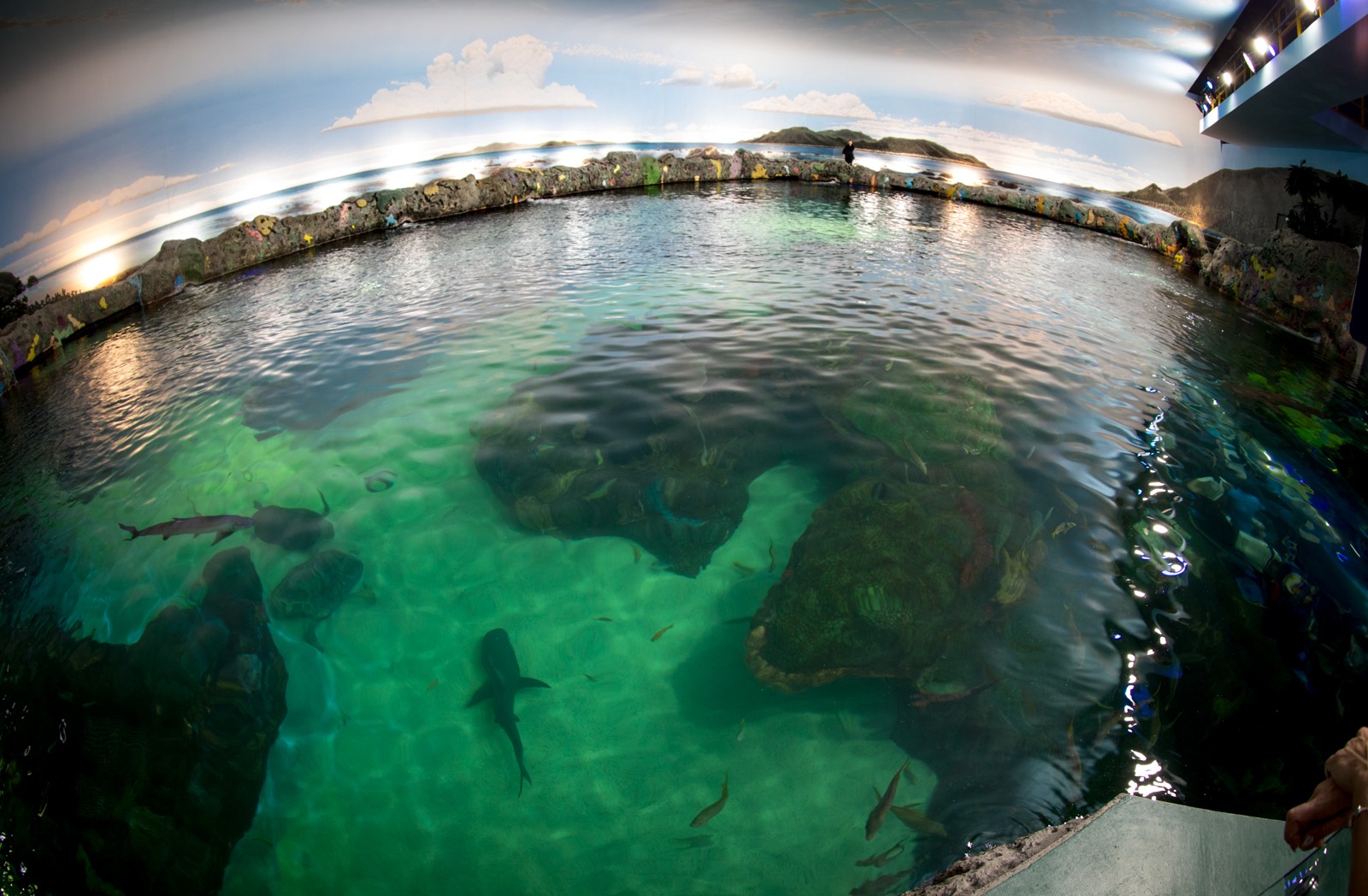 Toronto - Ripley's Aquarium of Canada - Ladislav Hanousek, Kanada