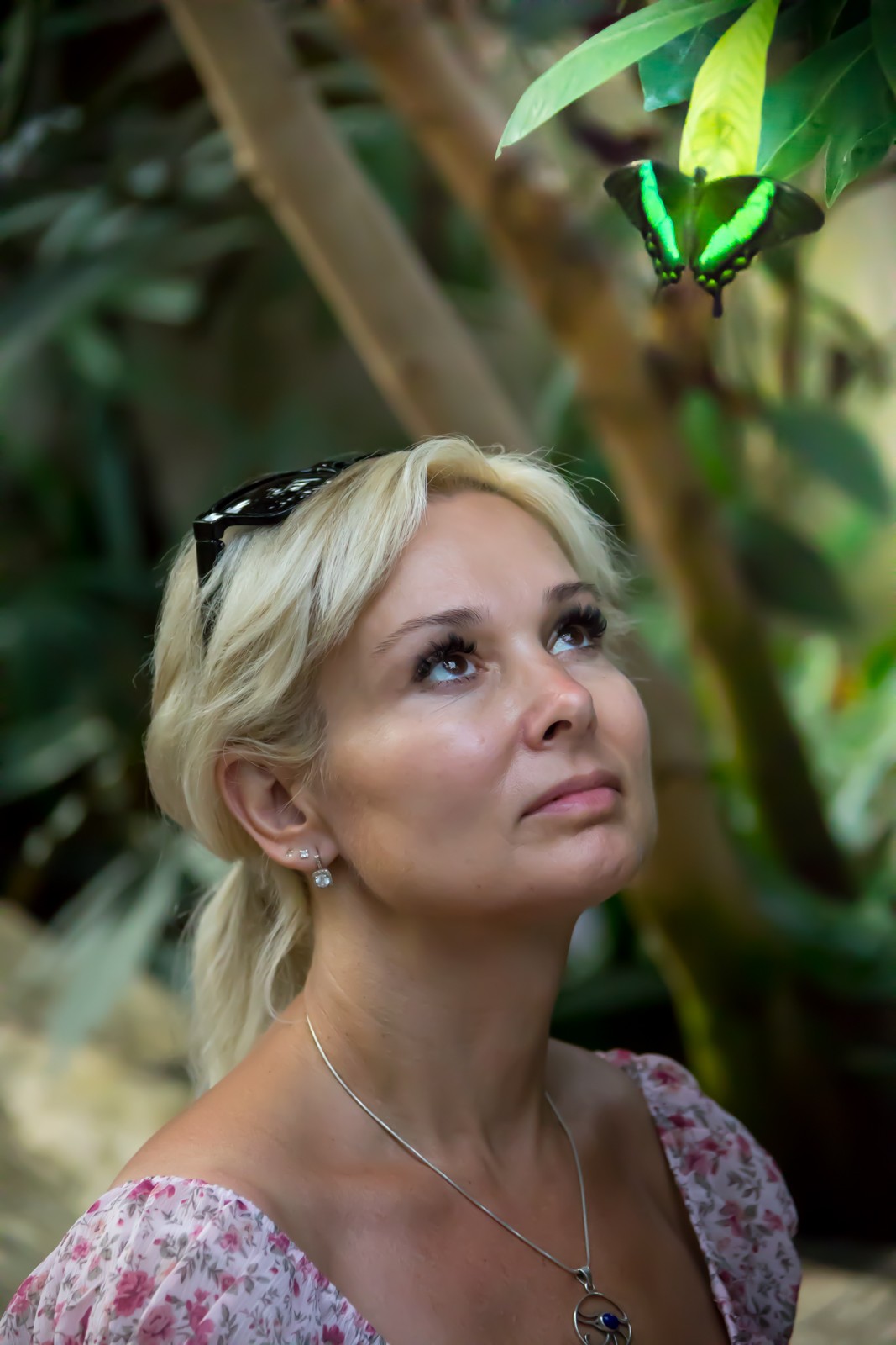 Niagara Parks Butterfly Conservatory - Ladislav Hanousek, Kanada