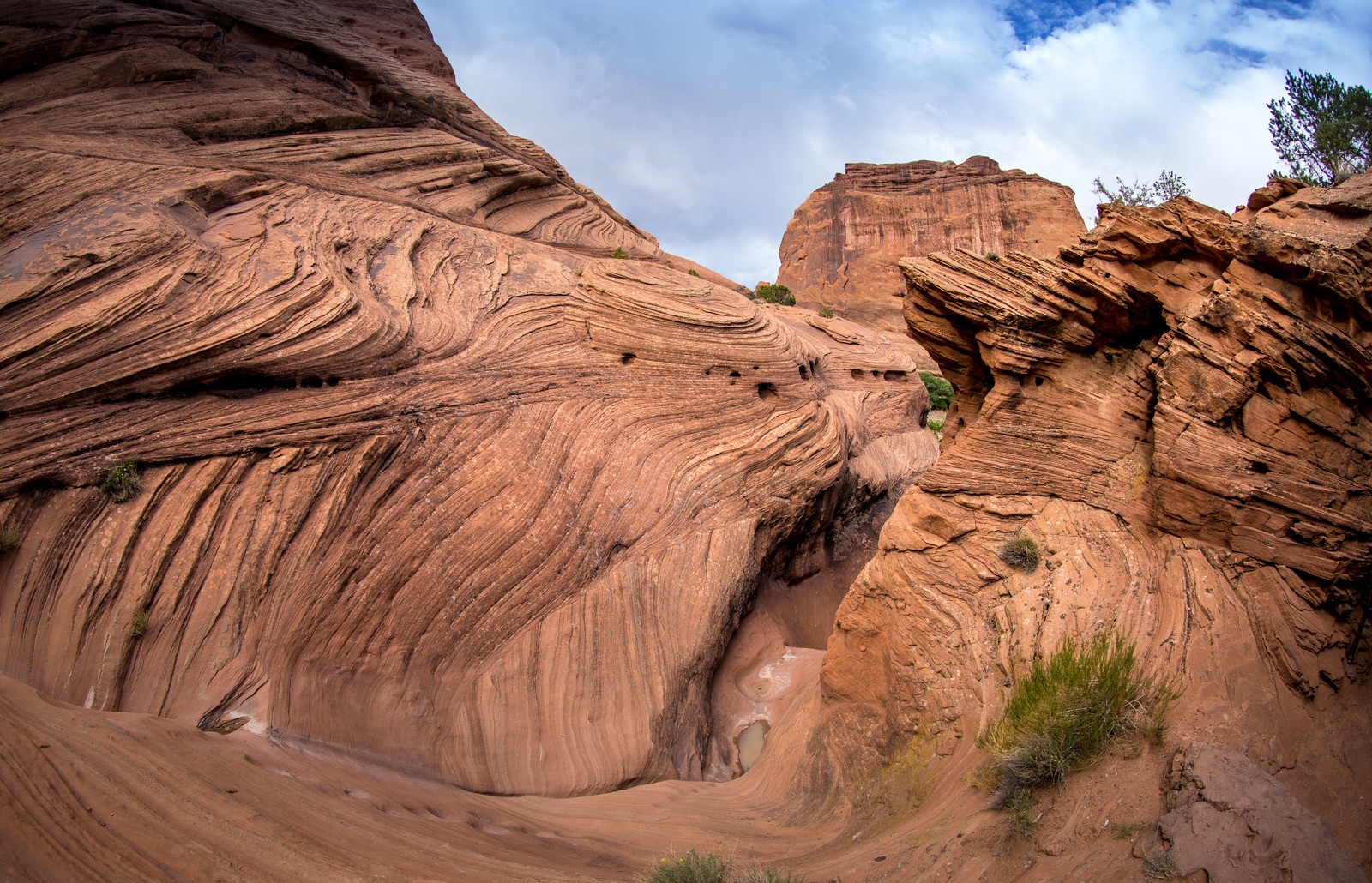 Canyon de Chelly: trek k indiánskému domu - White House - Ladislav Hanousek, Ostatní z Arizony