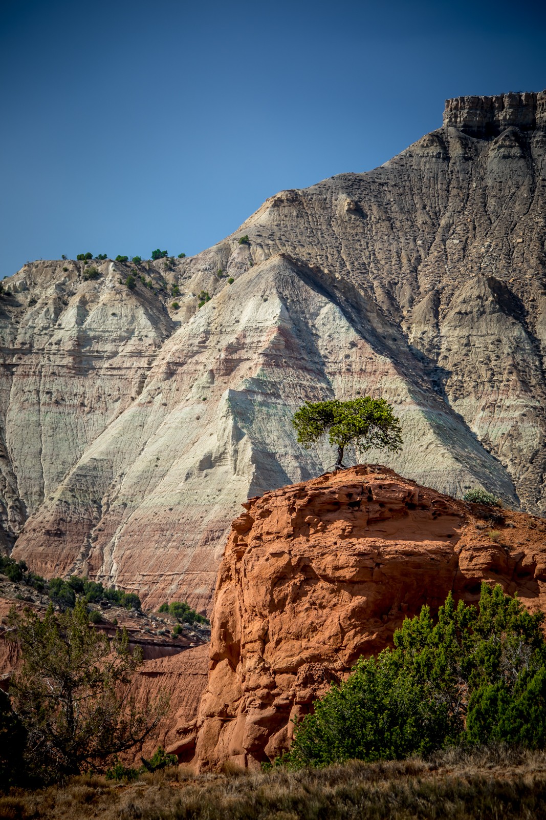 Kodachrome Basin State Park u Cannonville (2018) - Ladislav Hanousek, Ostatní z Utahu