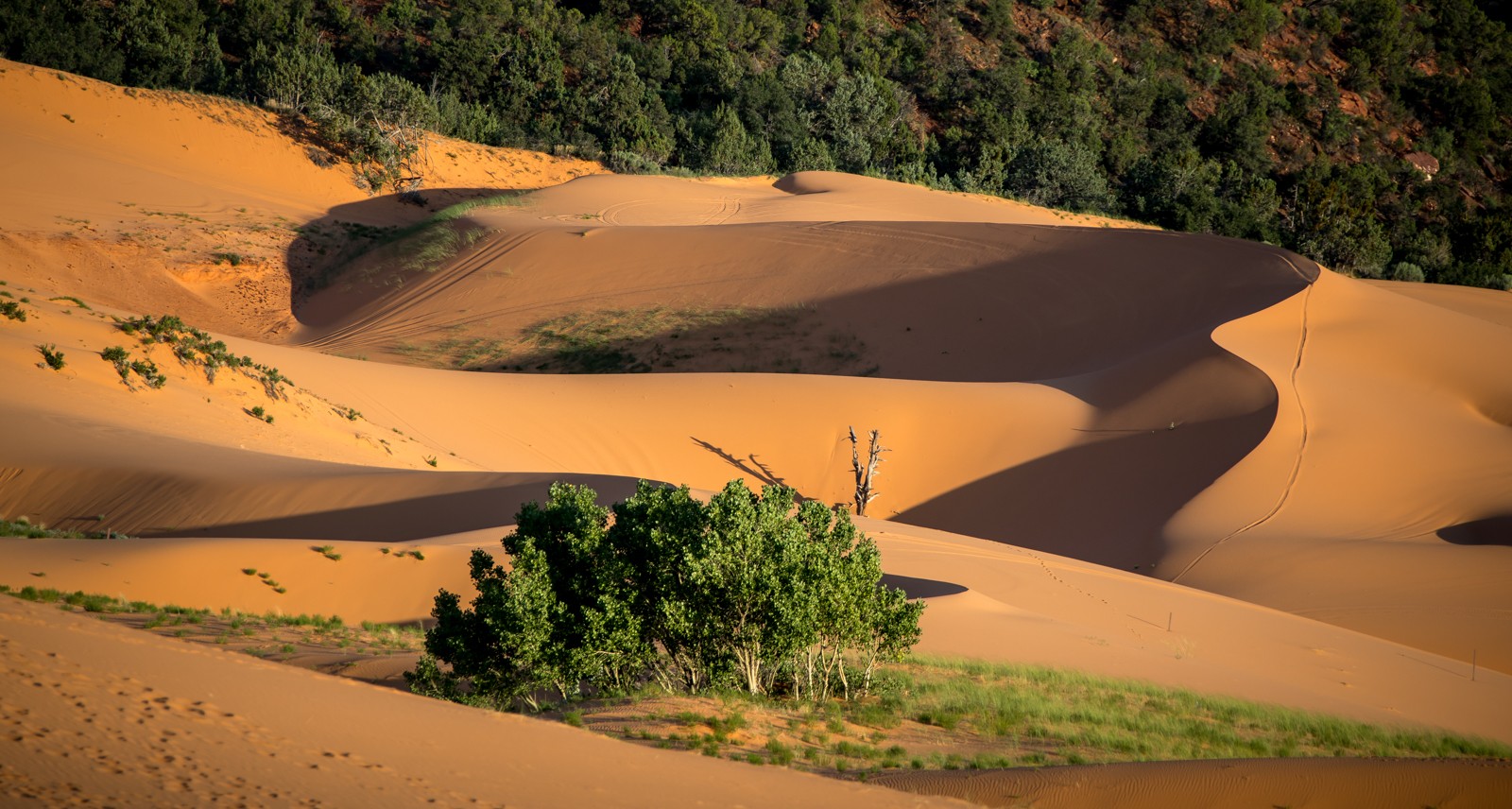Coral Pink Sand Dunes State Park - Ladislav Hanousek, Ostatní z Utahu