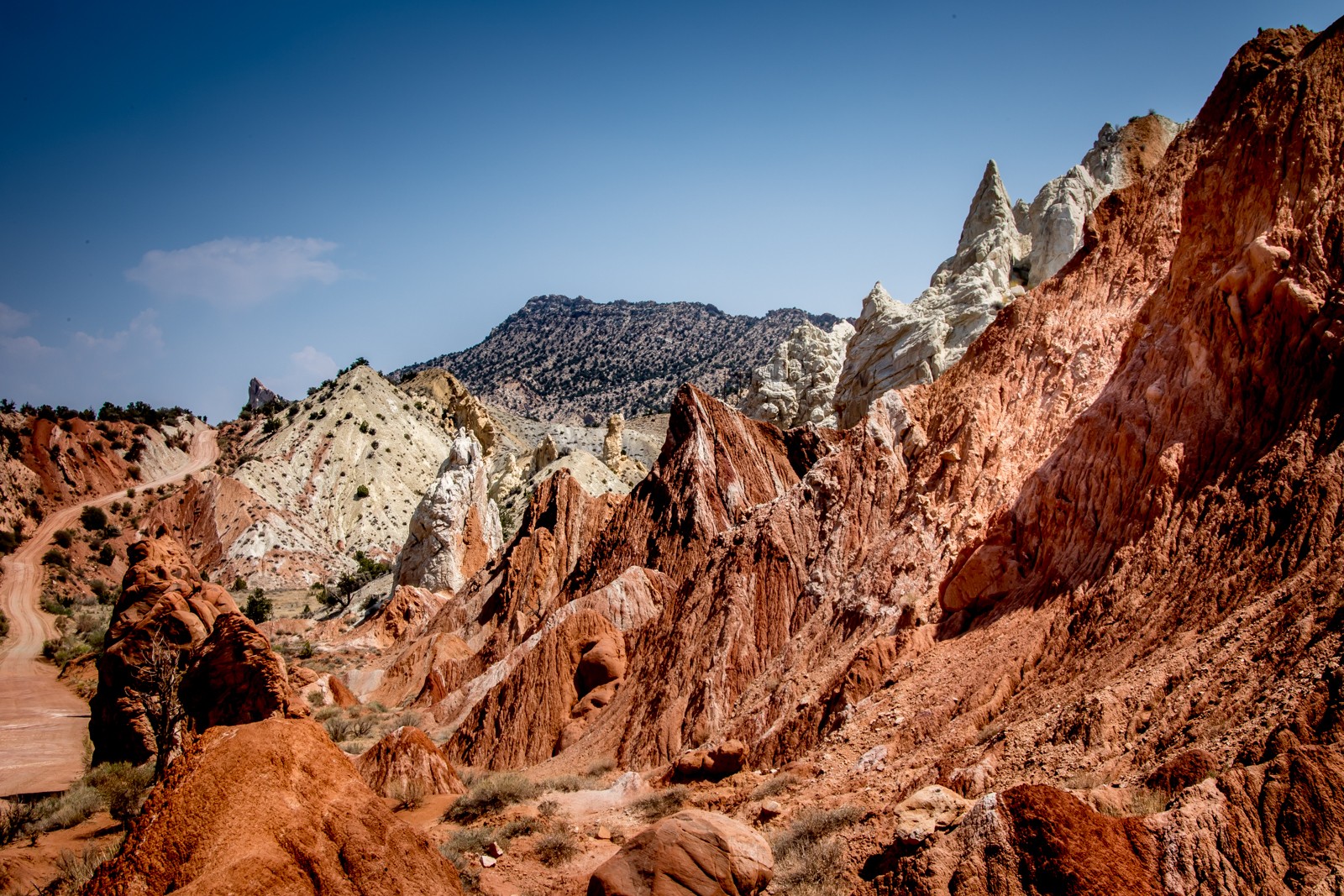 Cottonwood Road u Cannonville - Ladislav Hanousek, Ostatní z Utahu