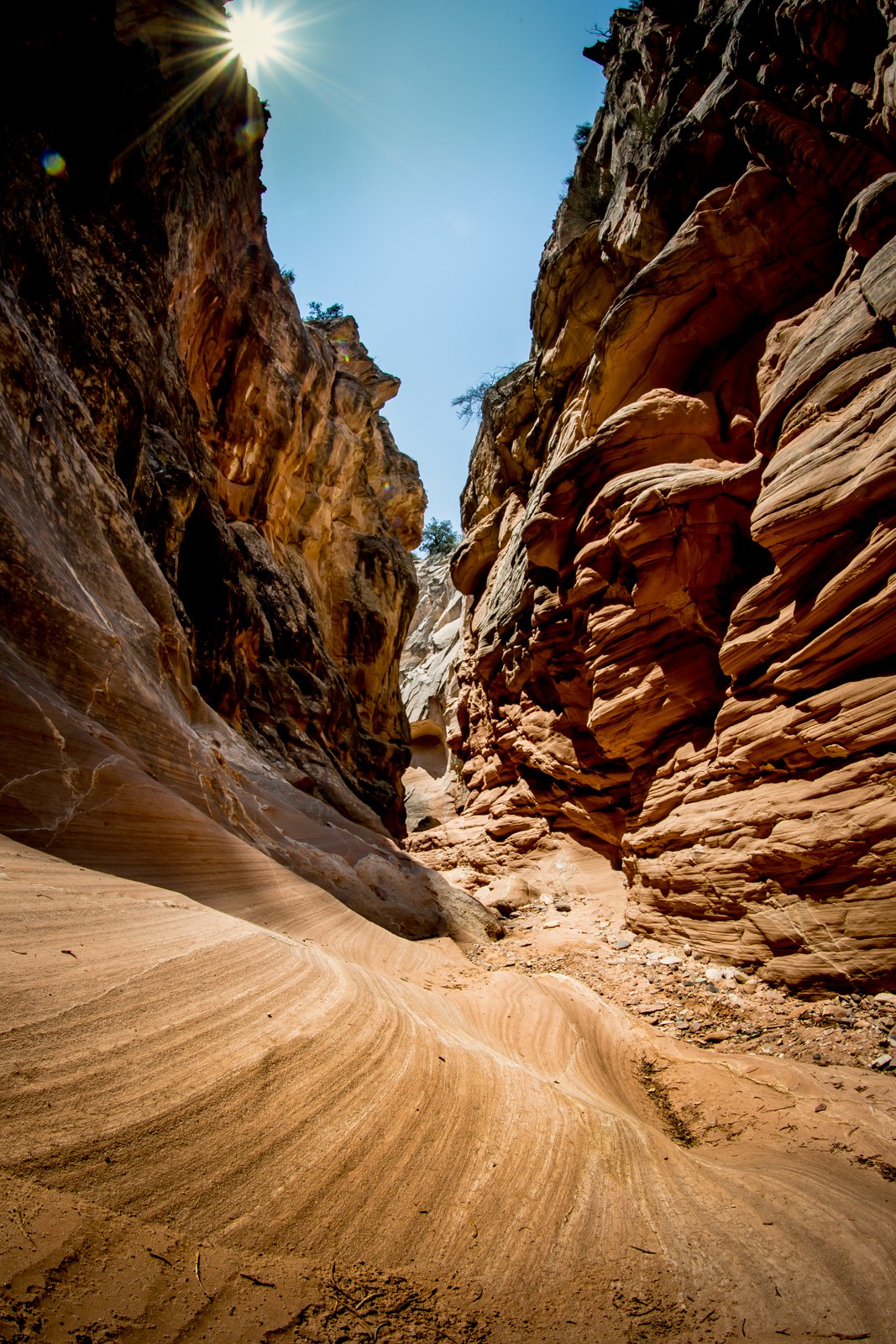 Cottonwood Narrows North Trailhead - Ladislav Hanousek, Ostatní z Utahu