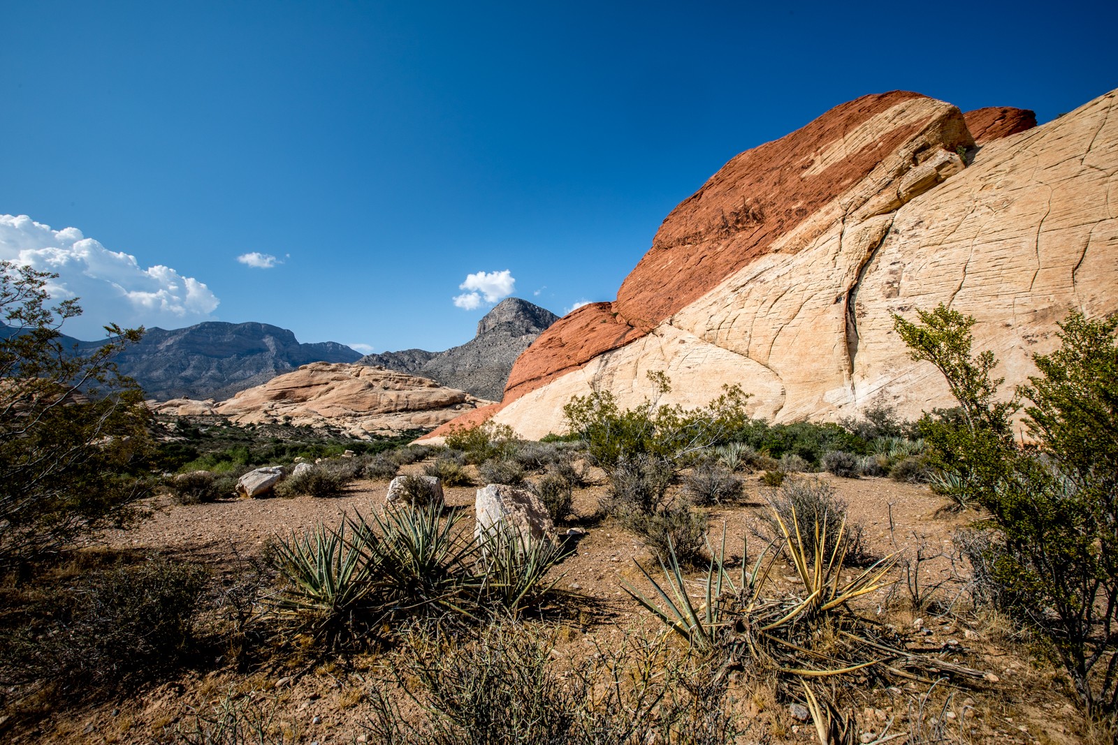 Red Rock Canyon National Conservation Area - Ladislav Hanousek, Las Vegas