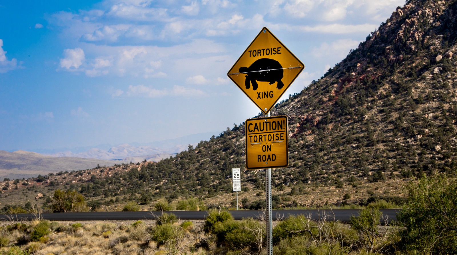 Red Rock Canyon National Conservation Area - Ladislav Hanousek, Las Vegas