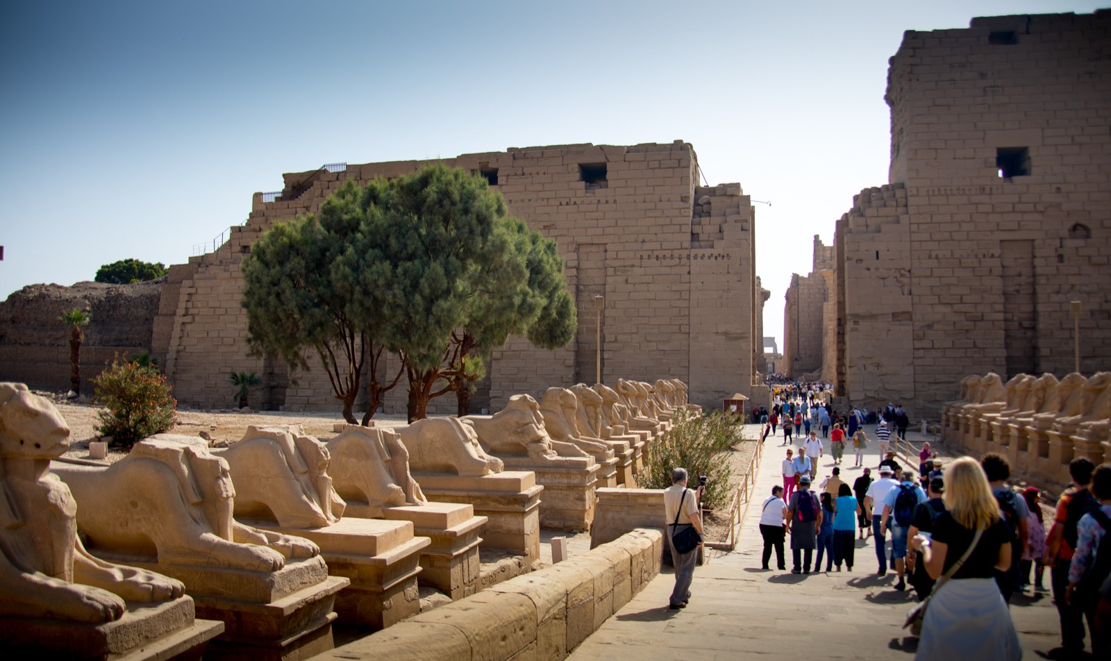 Chrám v Karnaku - sochy s beraními hlavami - Ladislav Hanousek, Egypt
