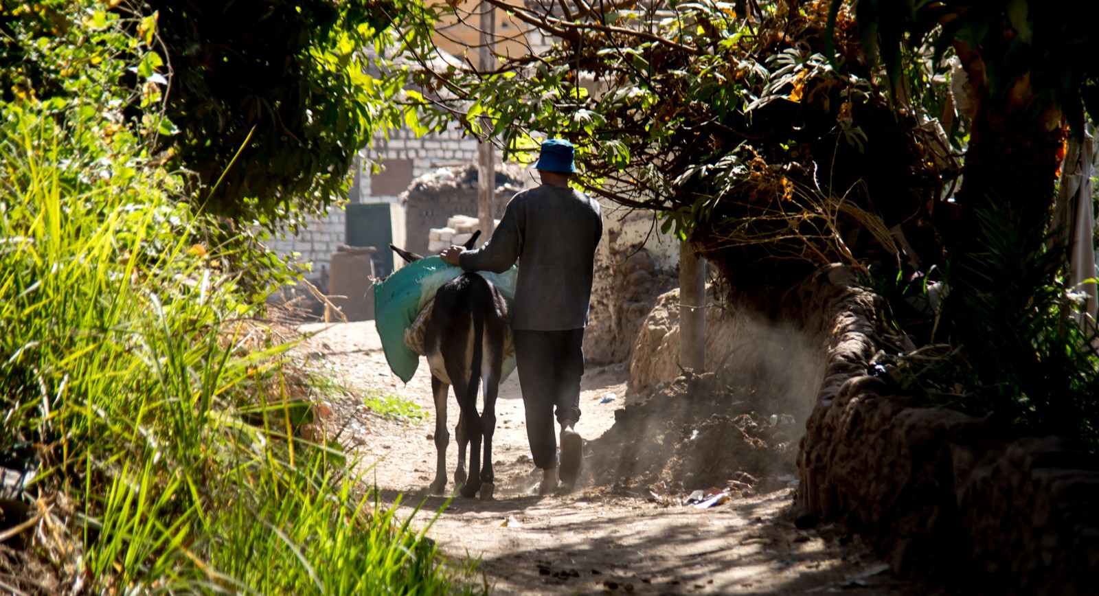 Výlet do núbijské vesnice u Asuánu - Ladislav Hanousek, Egypt