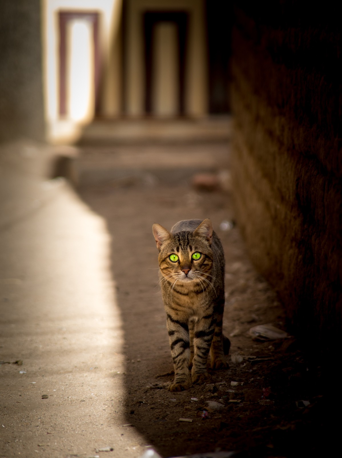 Výlet do núbijské vesnice u Asuánu - Ladislav Hanousek, Egypt