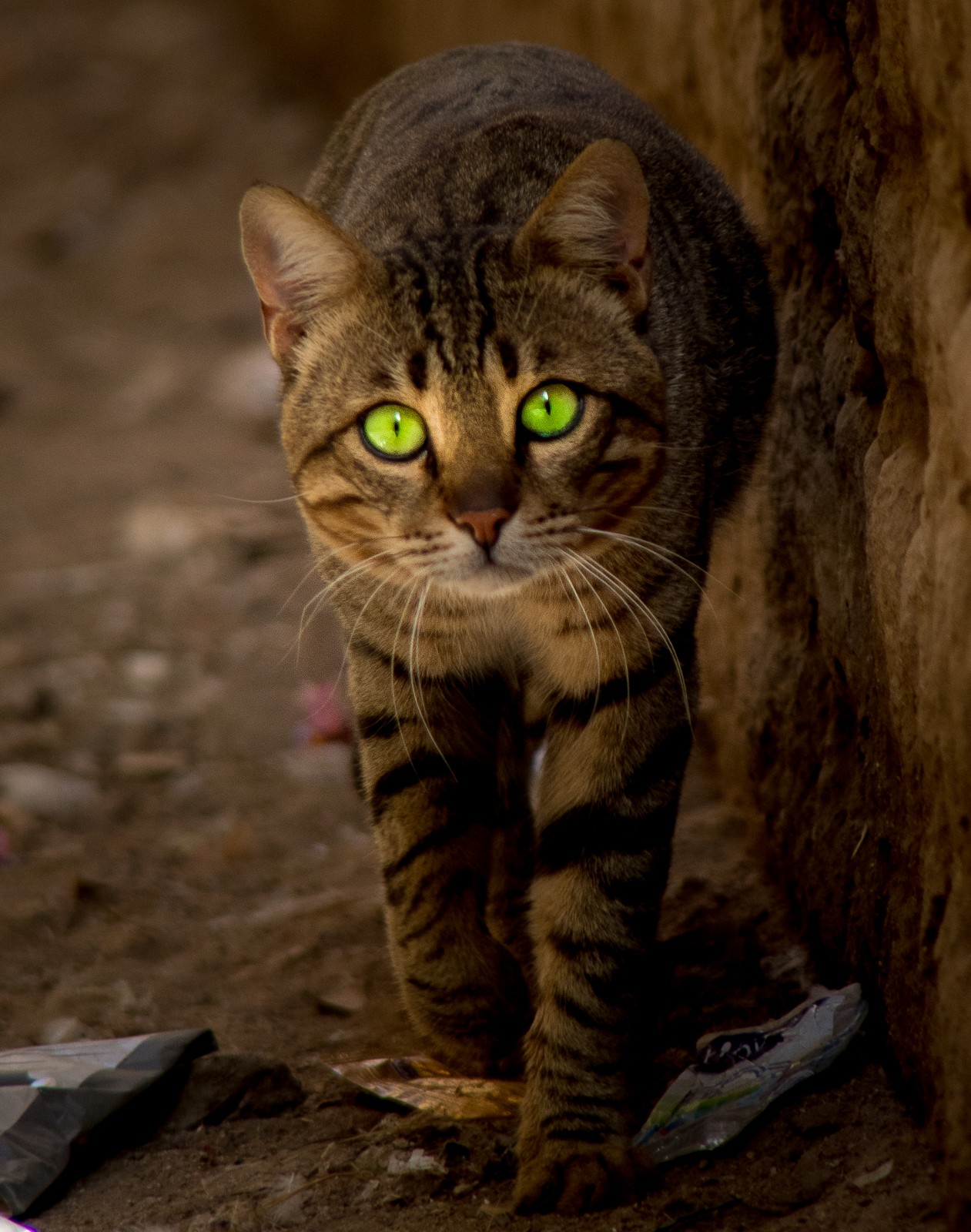 Výlet do núbijské vesnice u Asuánu - Ladislav Hanousek, Egypt