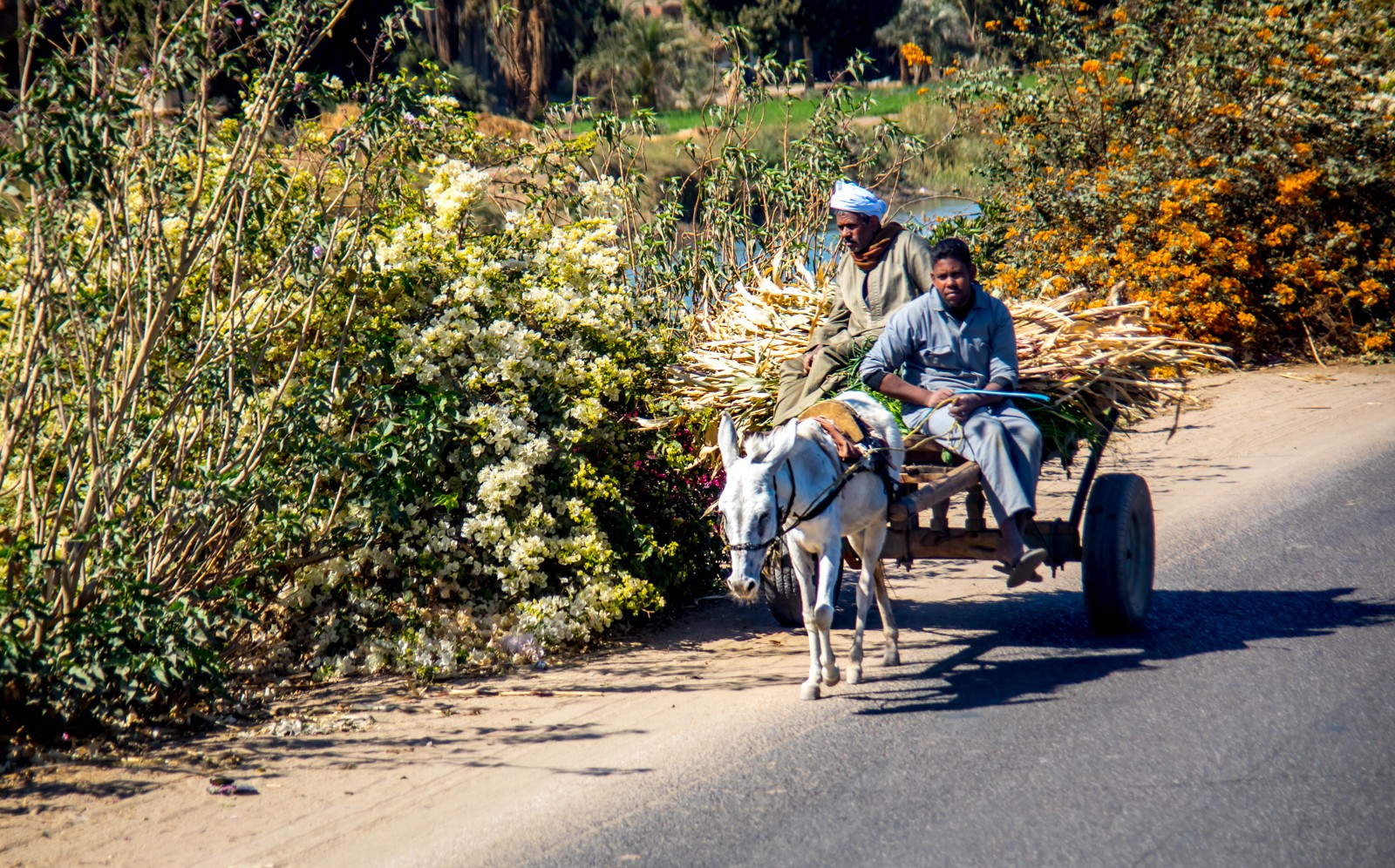 Na cestě zpět do Hurghady - Ladislav Hanousek, Egypt