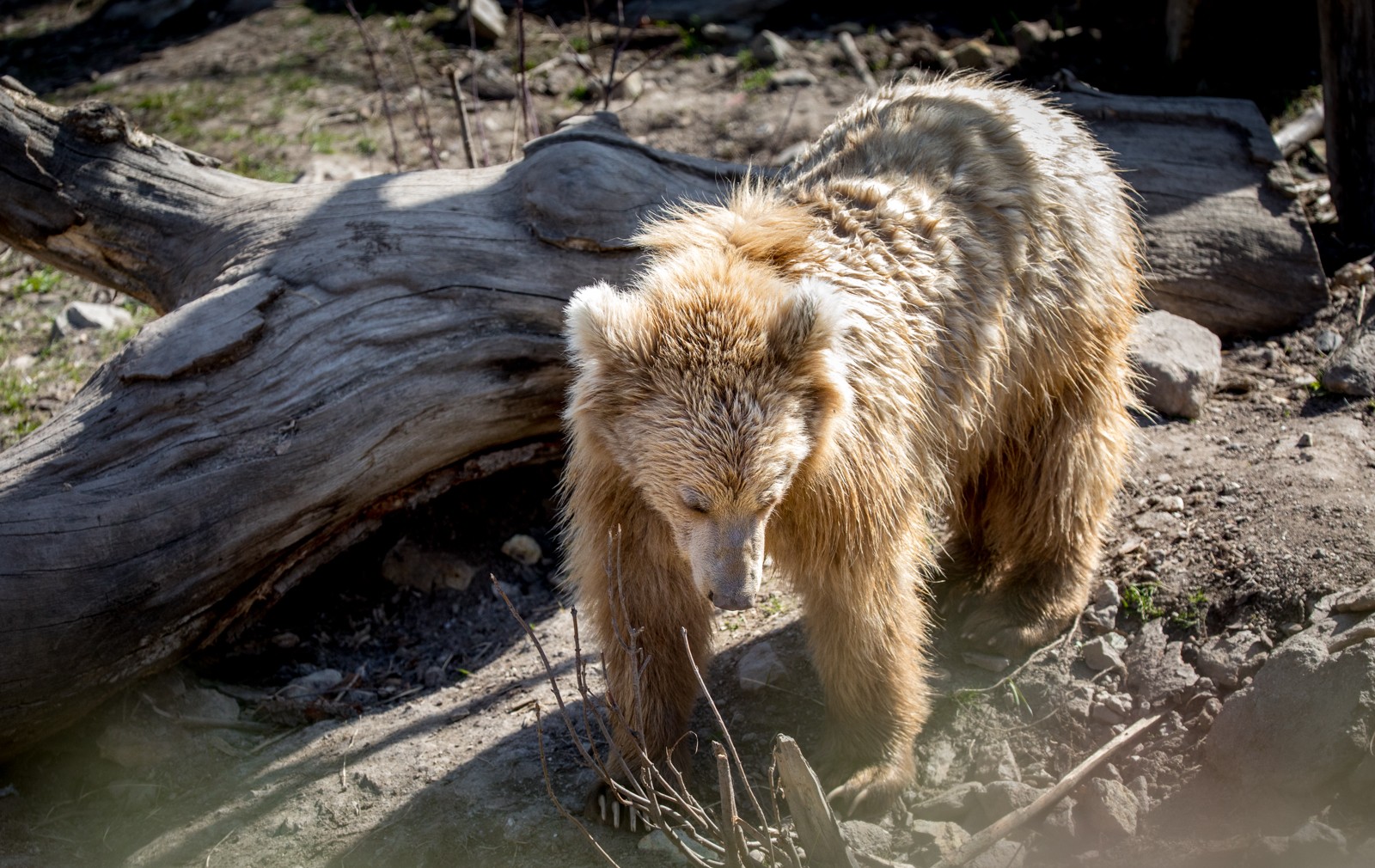 ZOO Ohrada - Hluboká nad Vltavou - Ladislav Hanousek, Čechy a Morava