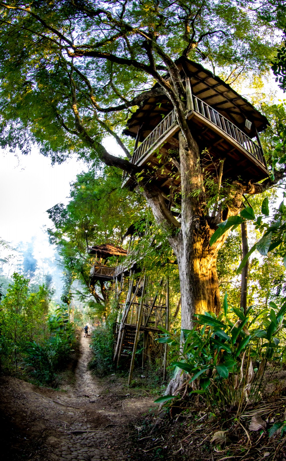 Cesta pralesem u Borobuduru. - Ladislav Hanousek, Indonésie