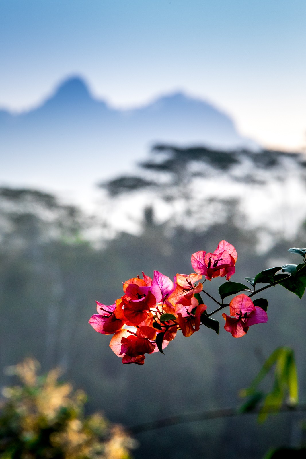 ..za horami.. - Ladislav Hanousek, Indonésie